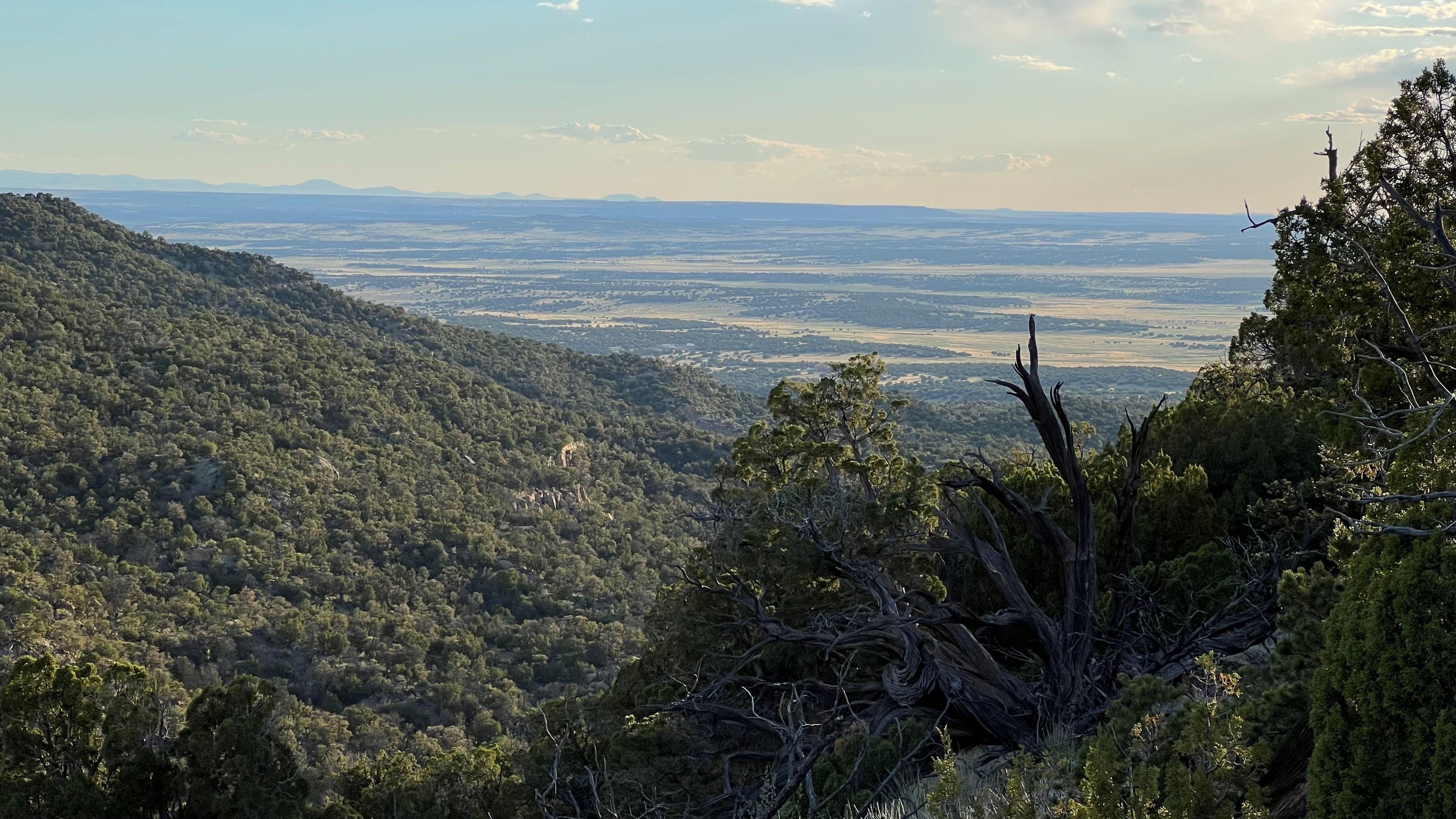 Fence Lake, Cibola County, NM Recreational Property, Undeveloped Land for sale Property ID