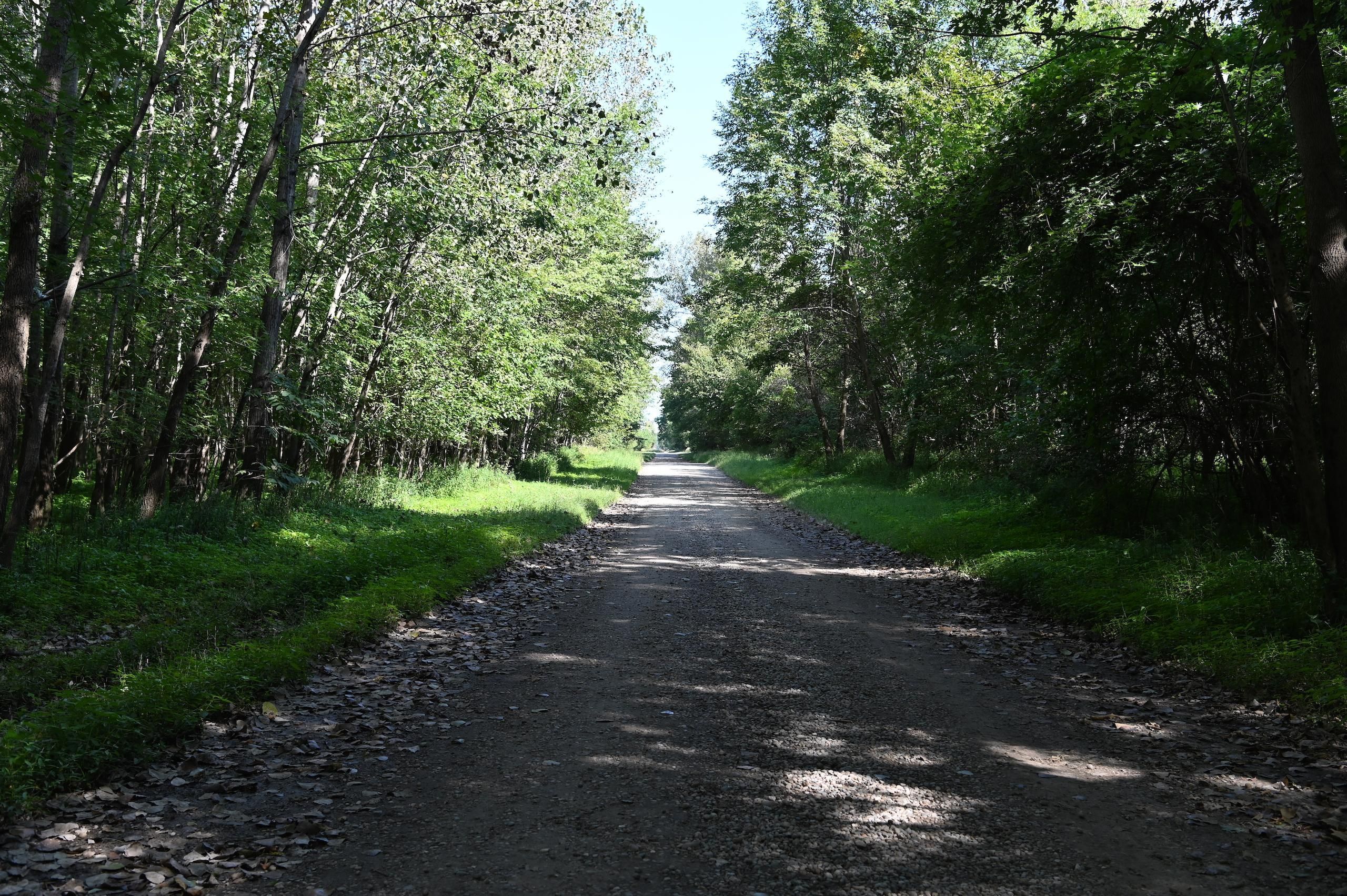 Allendale, Wabash County, IL Recreational Property, Timberland Property