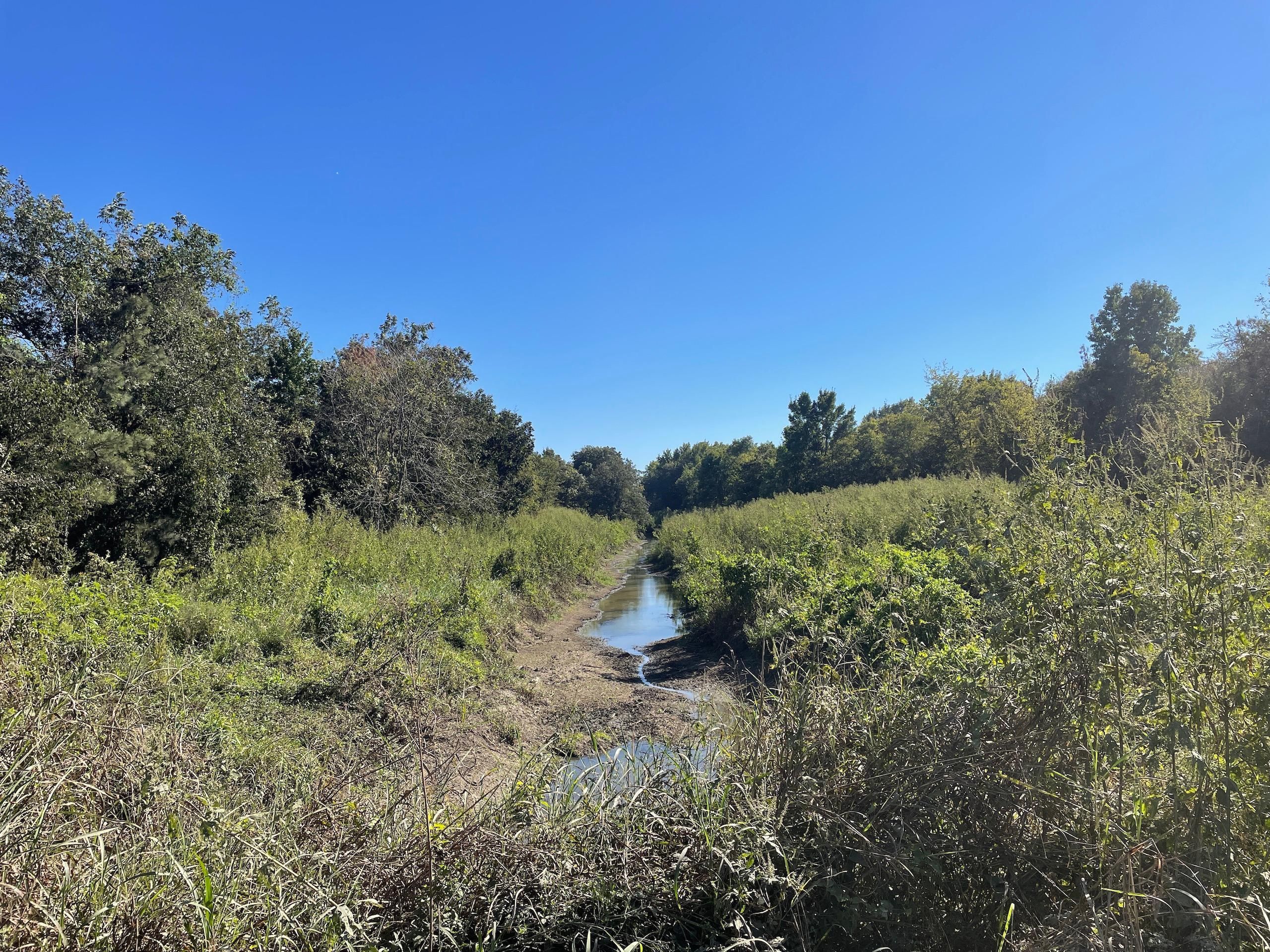 Wright Road Lot Wp001, Lake Providence, LA 71254 LandWatch