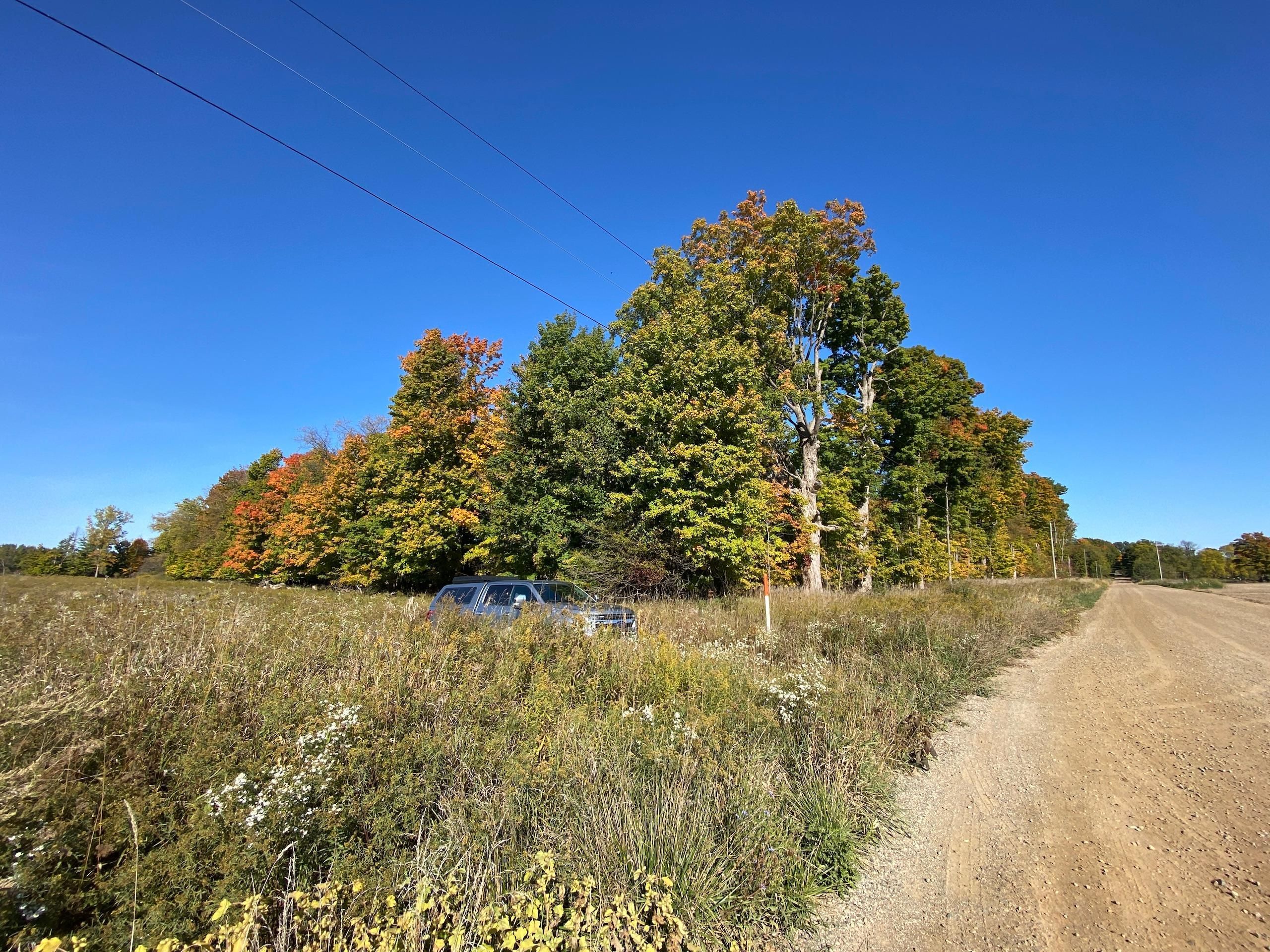 Charlotte, Eaton County, MI Farms and Ranches, Hunting Property for