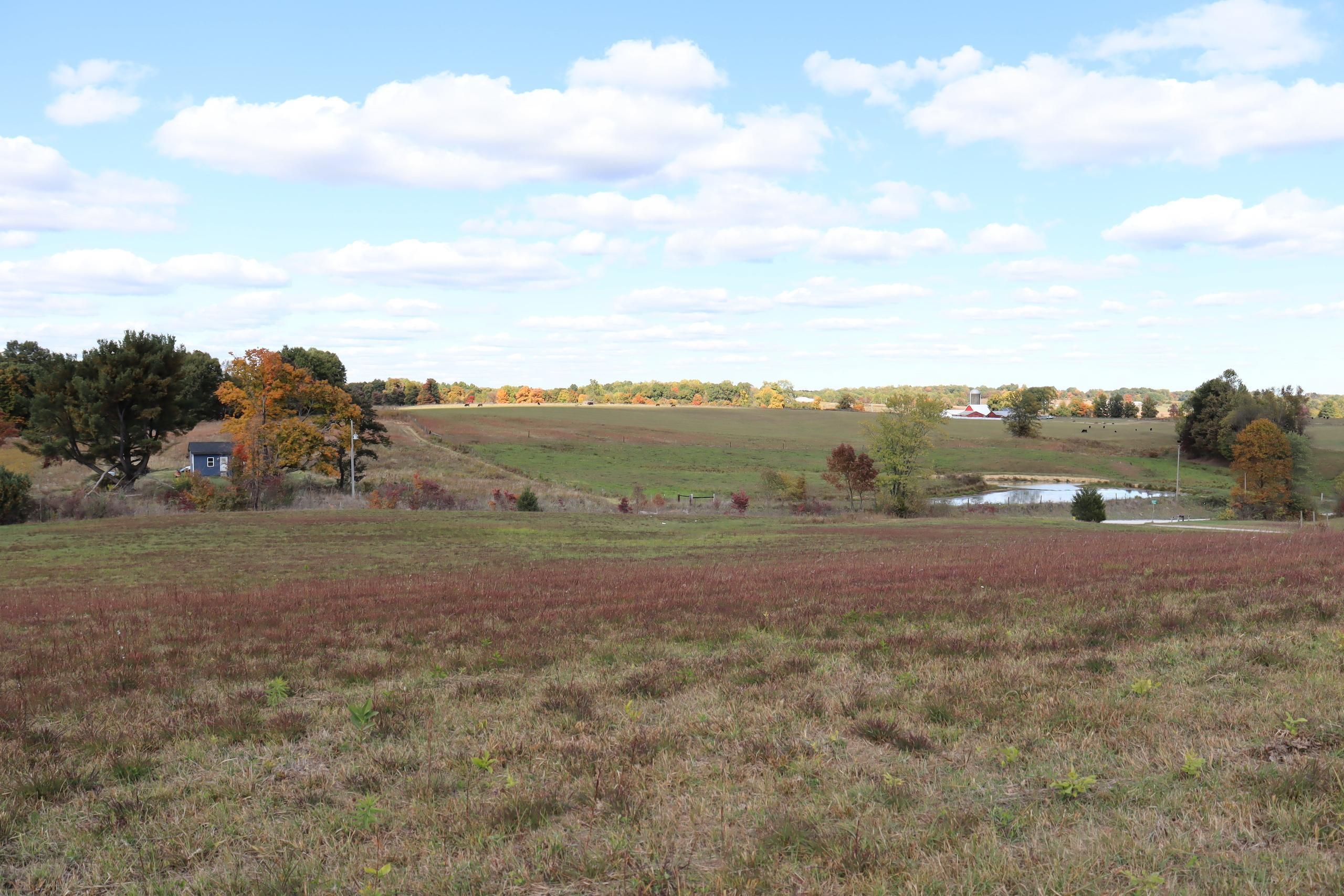 Bloomfield, Greene County, IN Recreational Property, Timberland