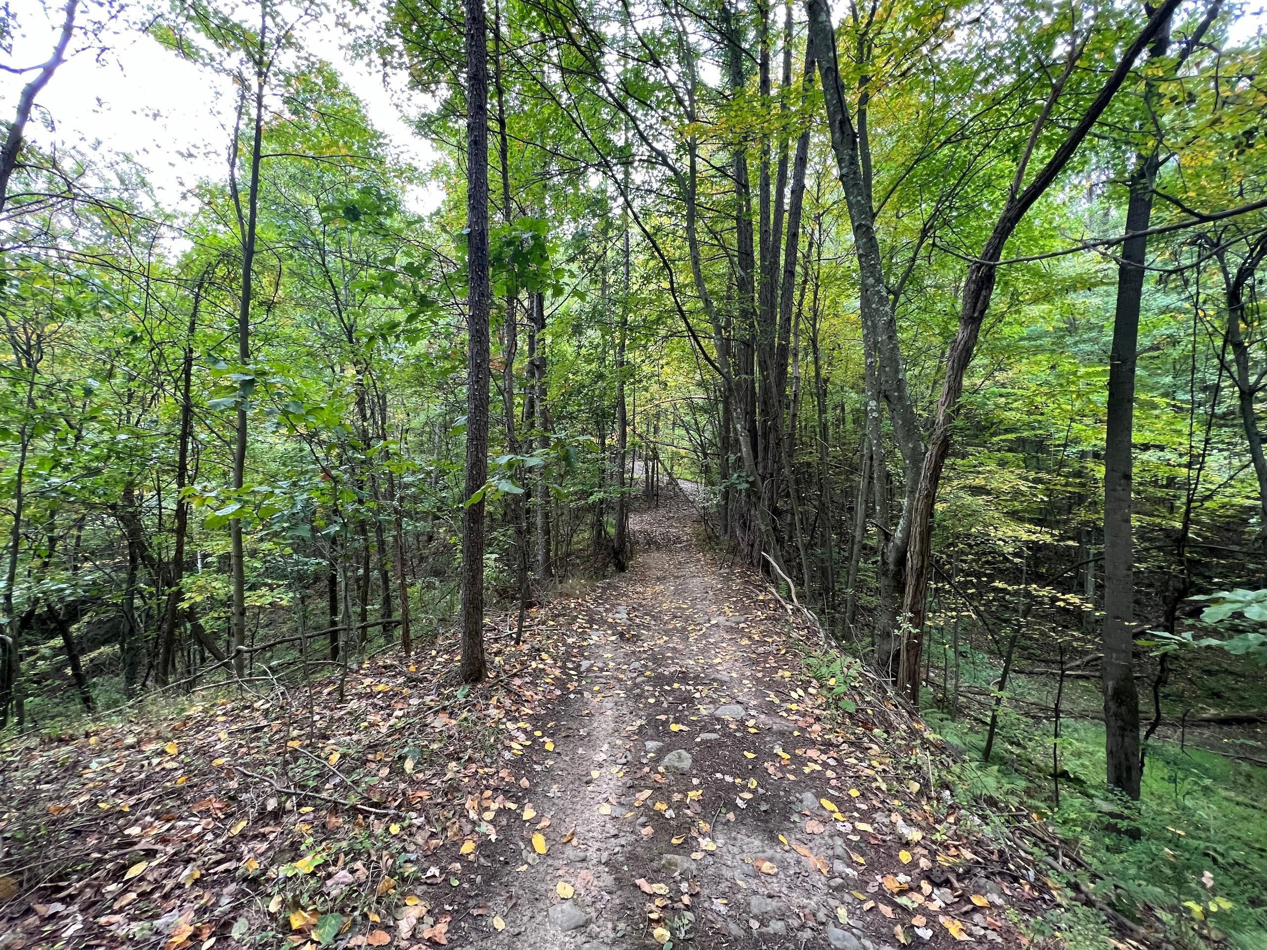 Swoyersville, Luzerne County, PA Recreational Property, Timberland