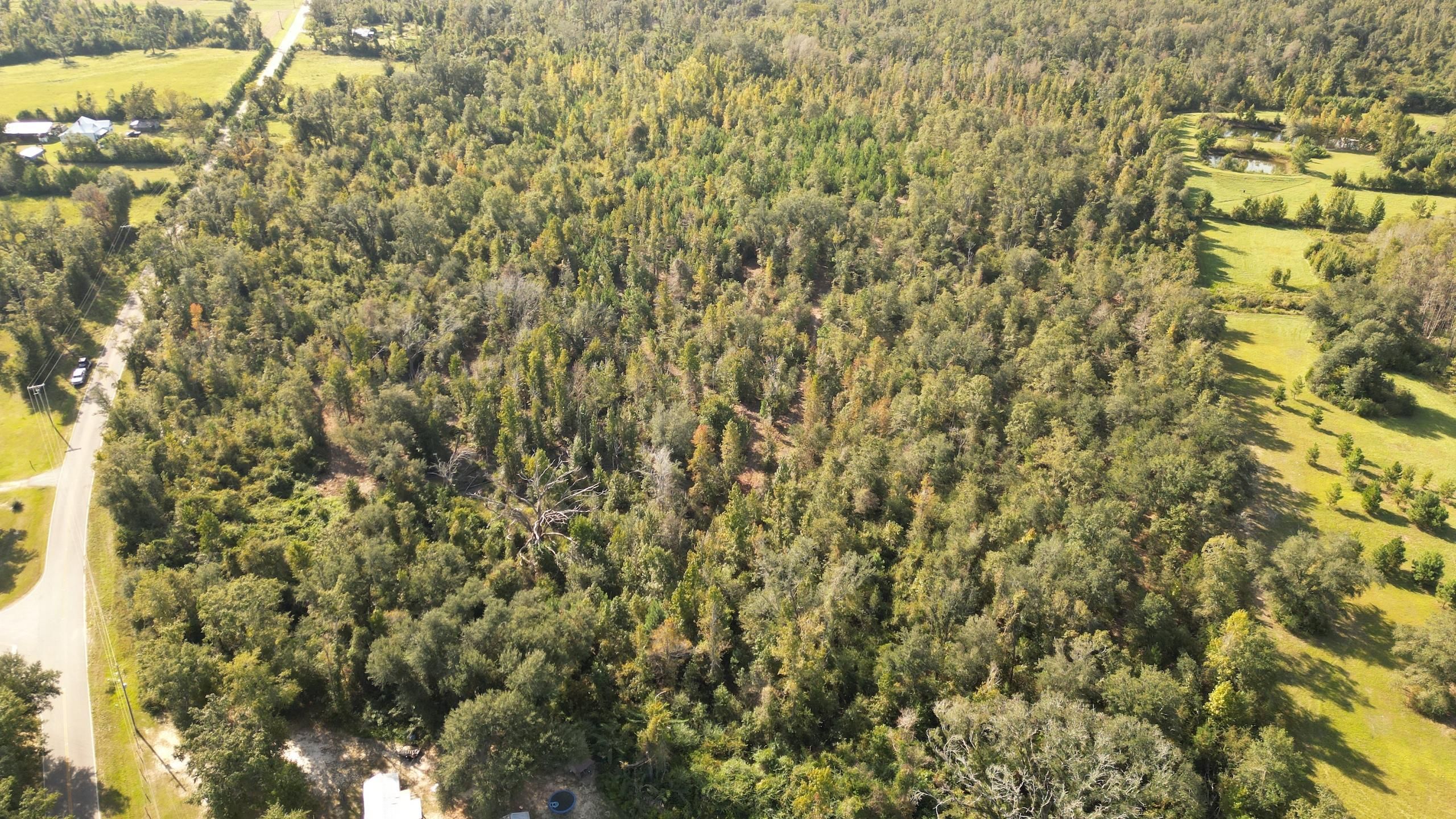 Cottondale, Jackson County, FL Recreational Property, Timberland Property, Hunting Property for