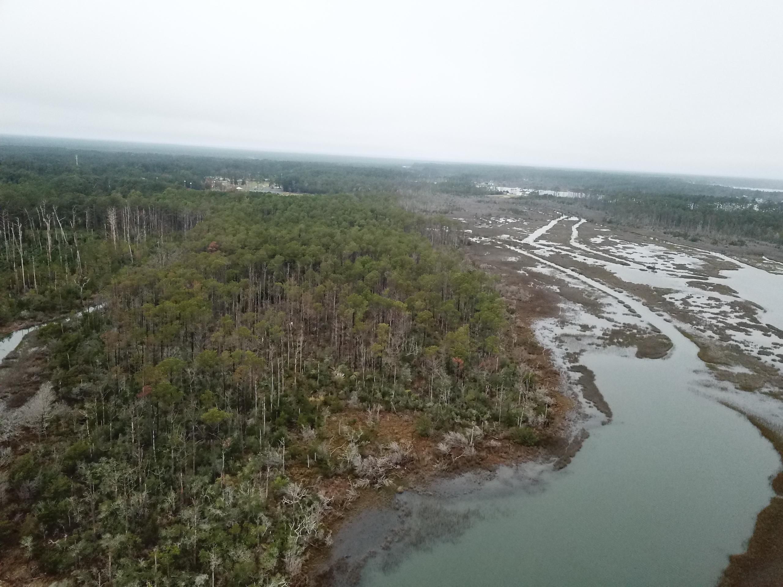 Harkers Island, Carteret County, NC Timberland Property for sale