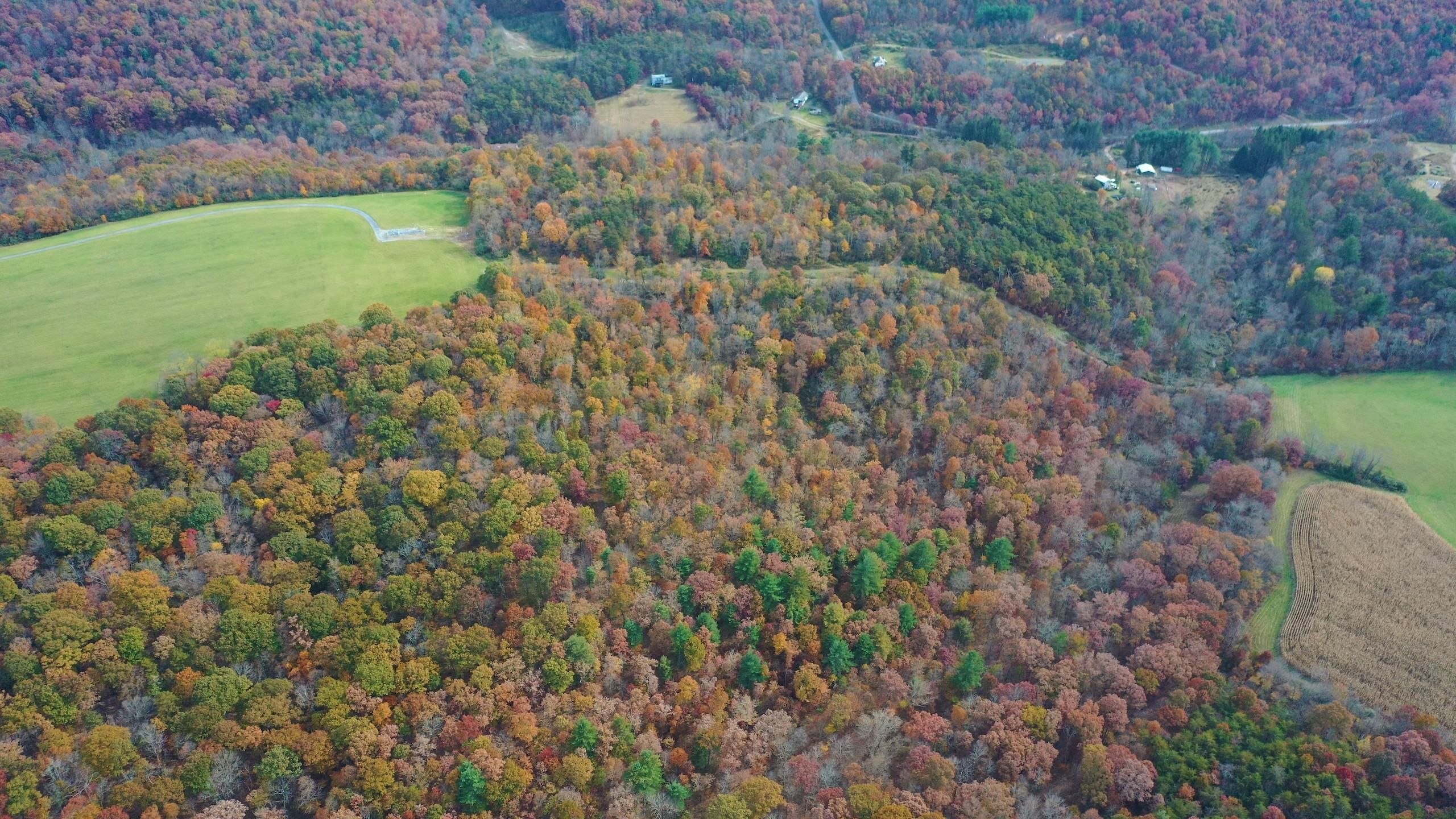 Clearville, Bedford County, PA Recreational Property, Timberland