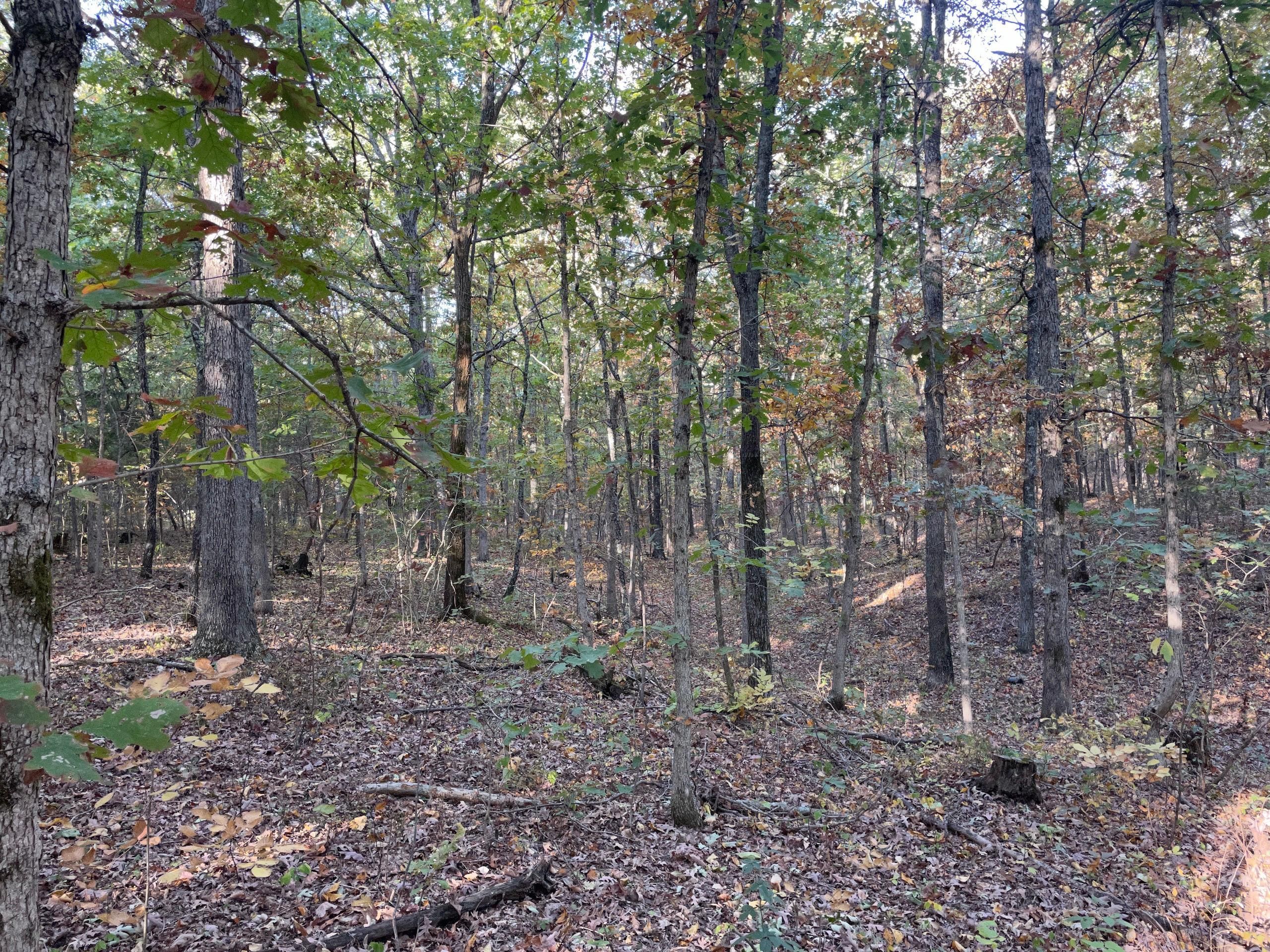 Bucyrus, Texas County, MO Recreational Property, Timberland Property