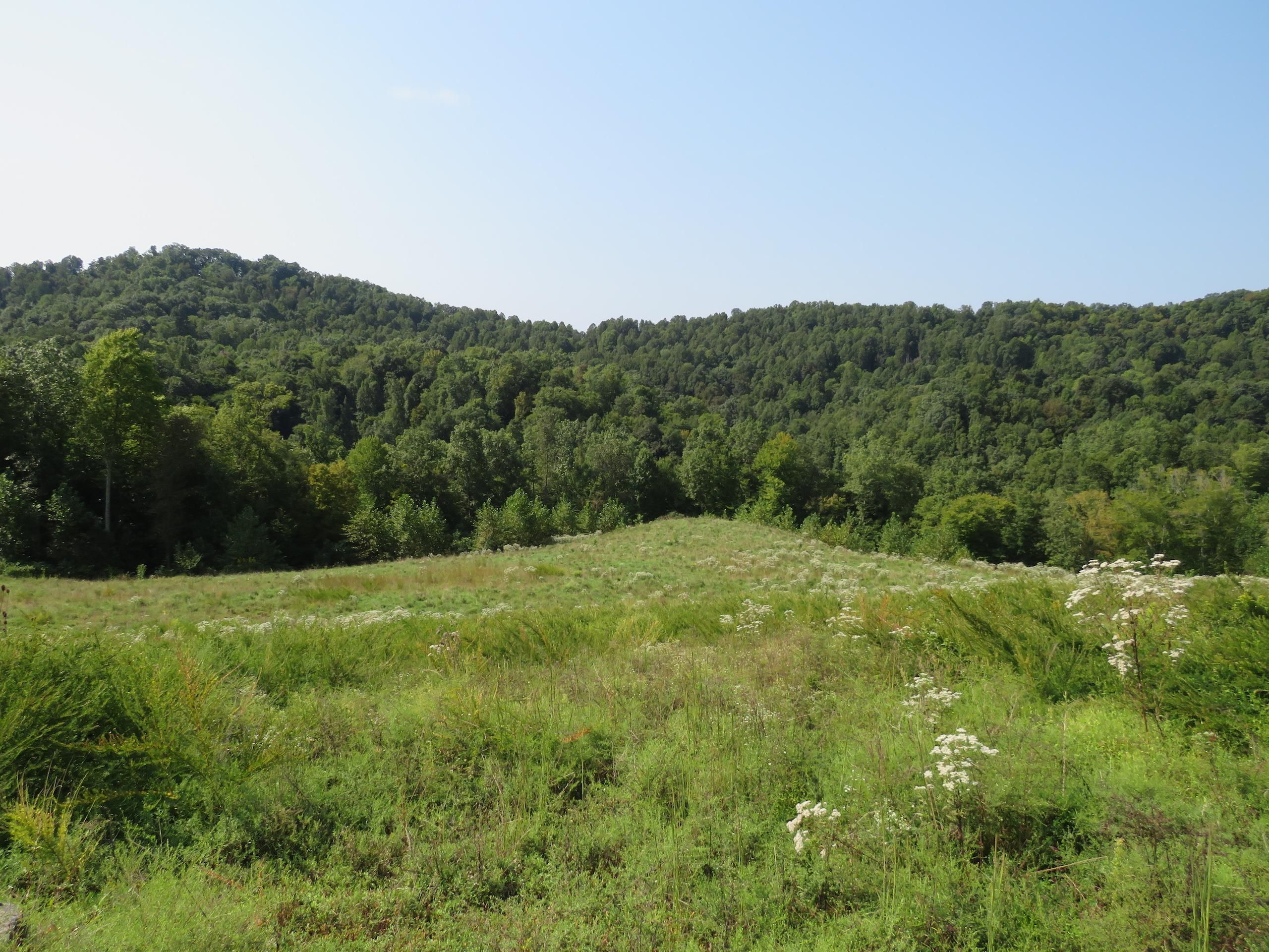 Weston, Lewis County, WV Recreational Property, Timberland Property, Hunting Property for sale