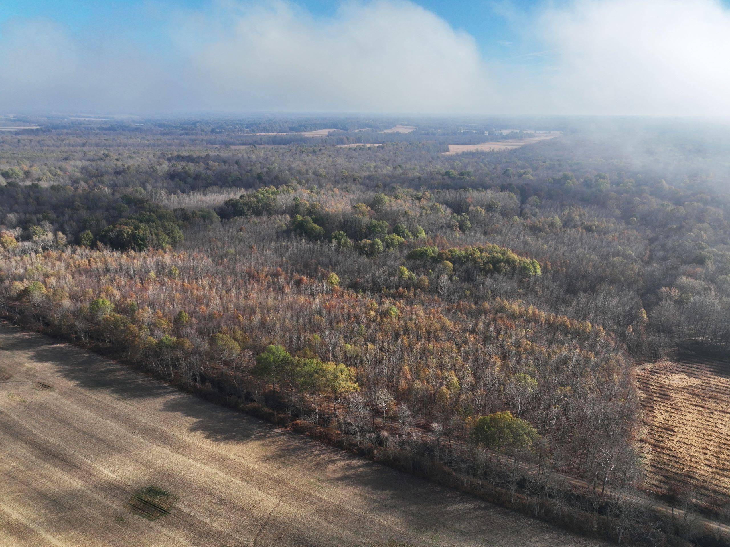 Clinton, Hickman County, KY Recreational Property, Timberland Property