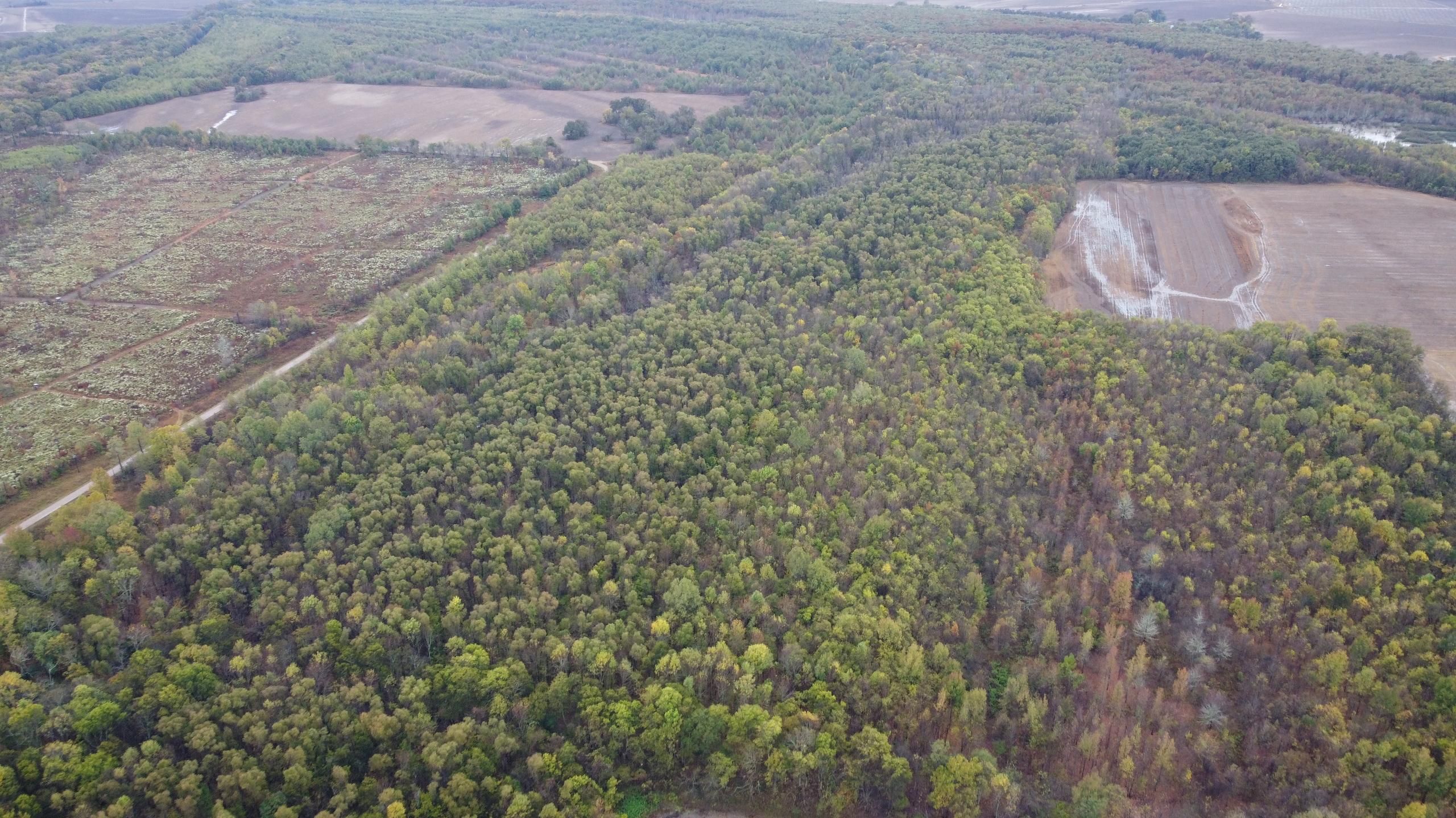 Lake Providence, East Carroll Parish, LA Recreational Property, Hunting