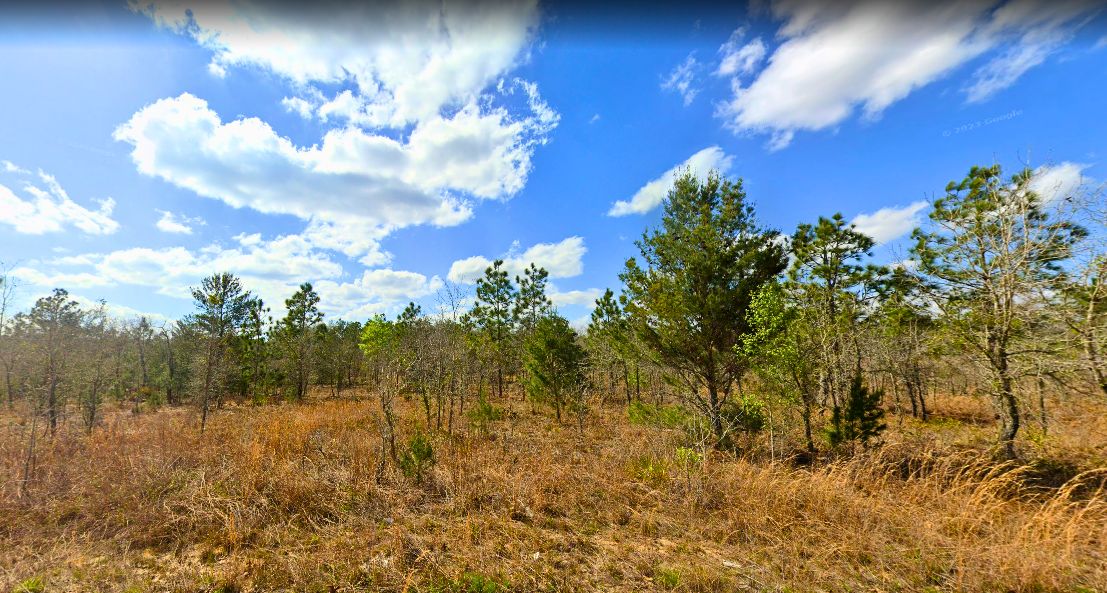 Interlachen, Putnam County, FL Recreational Property, Undeveloped Land