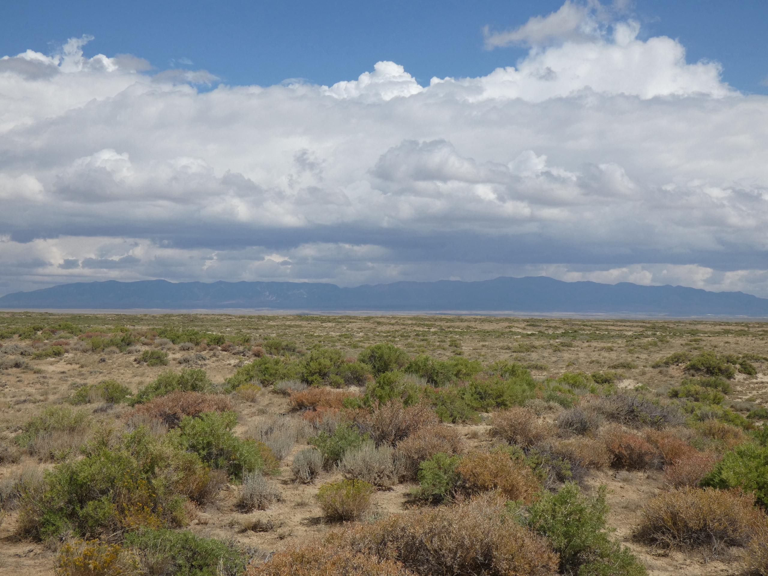 Buzzard Road, LotWP001, Rawlins, WY 82301 LandWatch