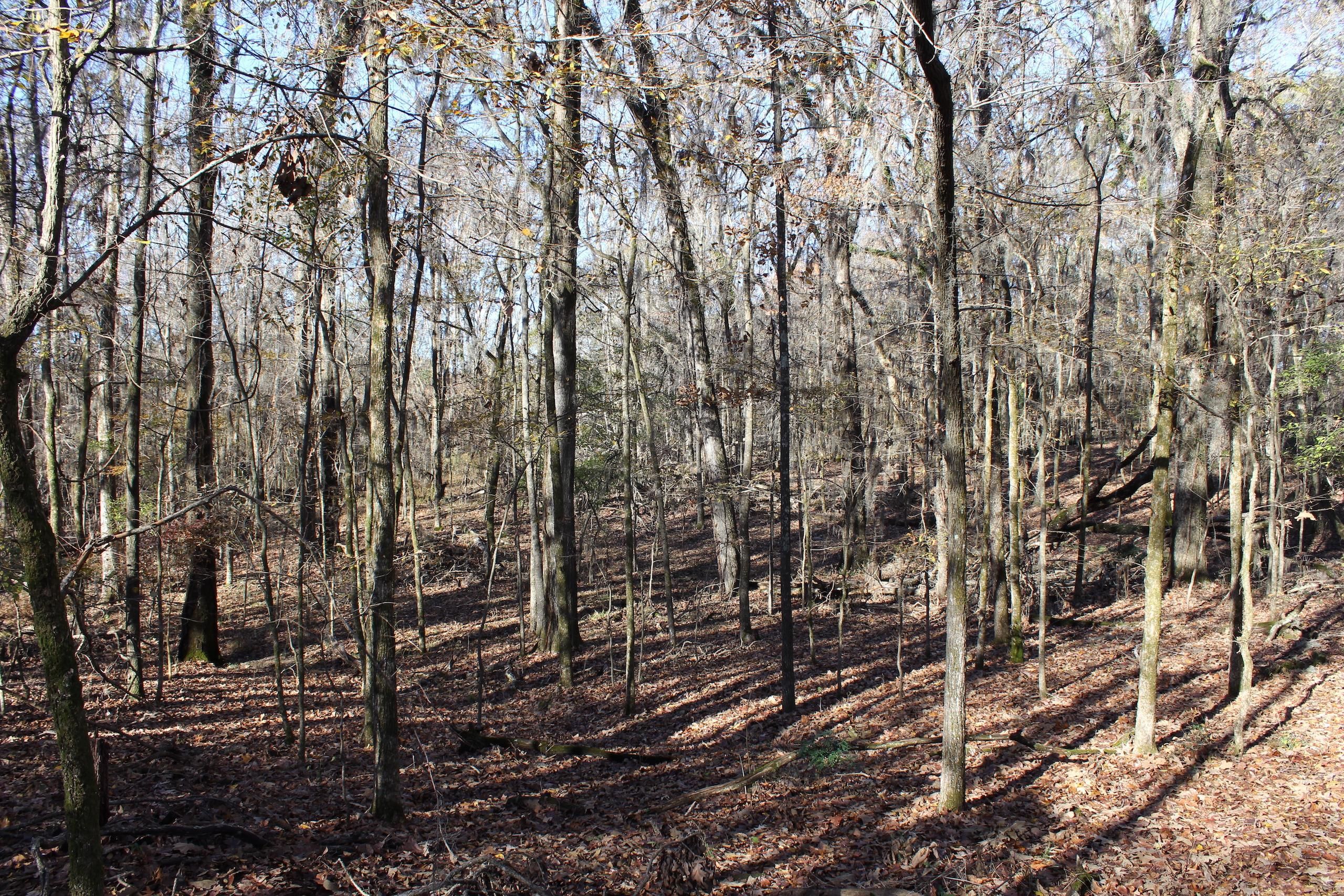 ClintonTinnin Road, LotWP001, Jackson, MS 39209 LandWatch