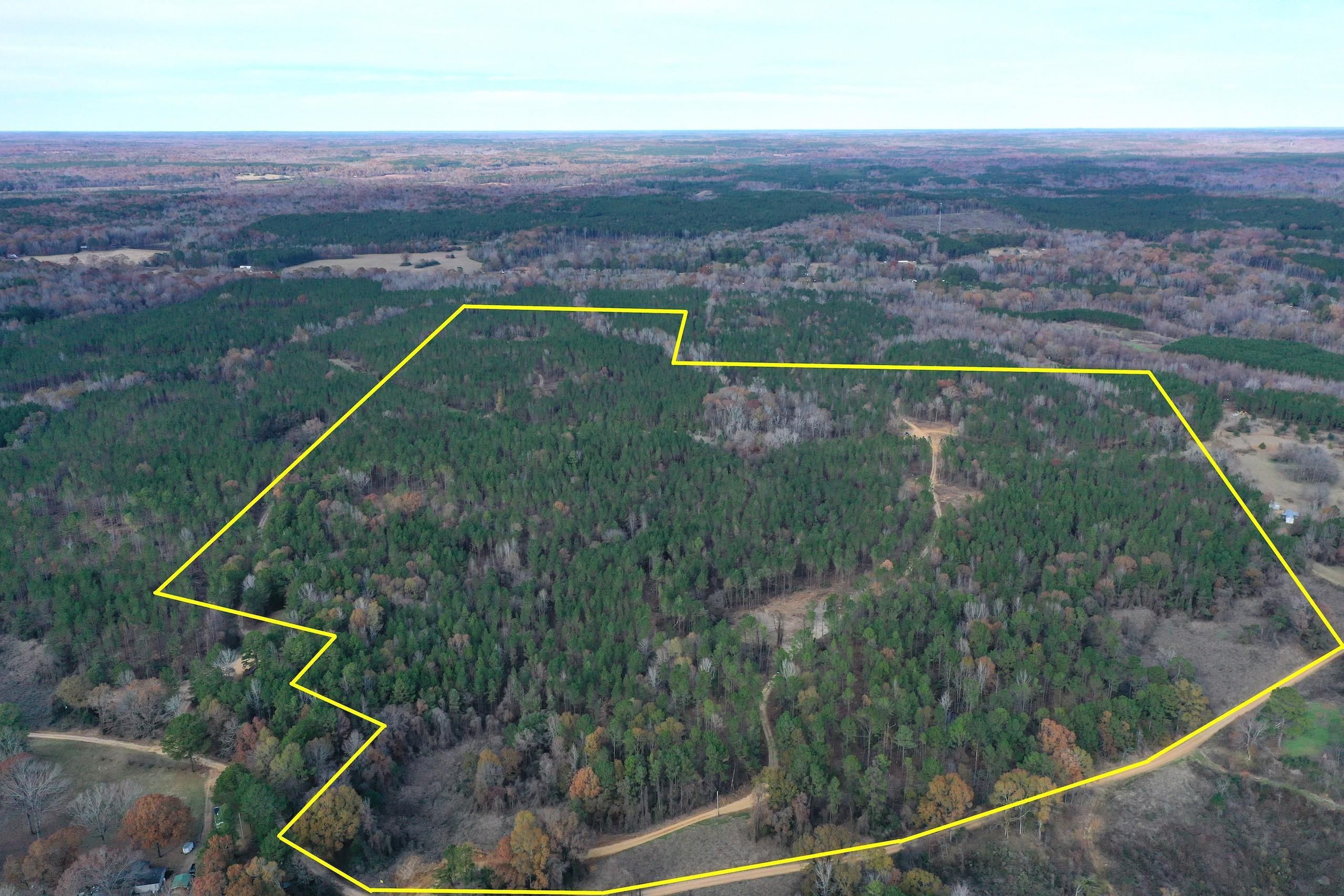 Lexington, Holmes County, MS Recreational Property, Timberland Property