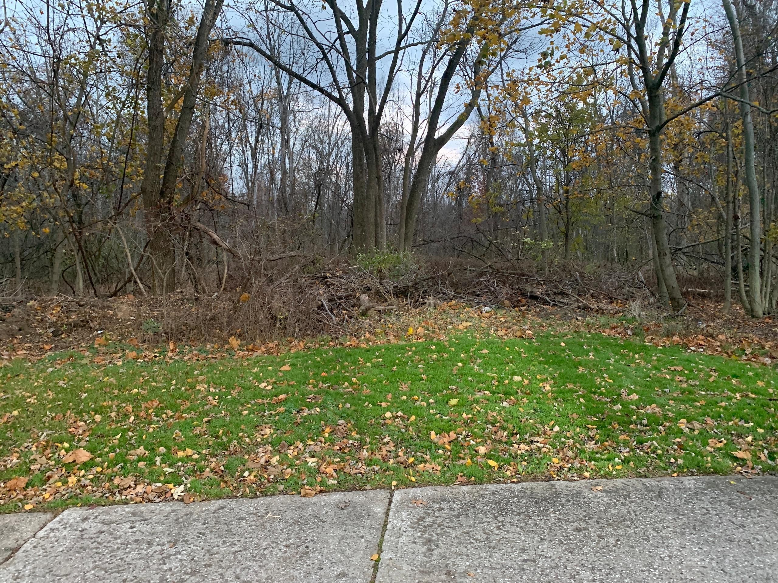 Sheffield, Lorain County, OH Recreational Property, Timberland Property