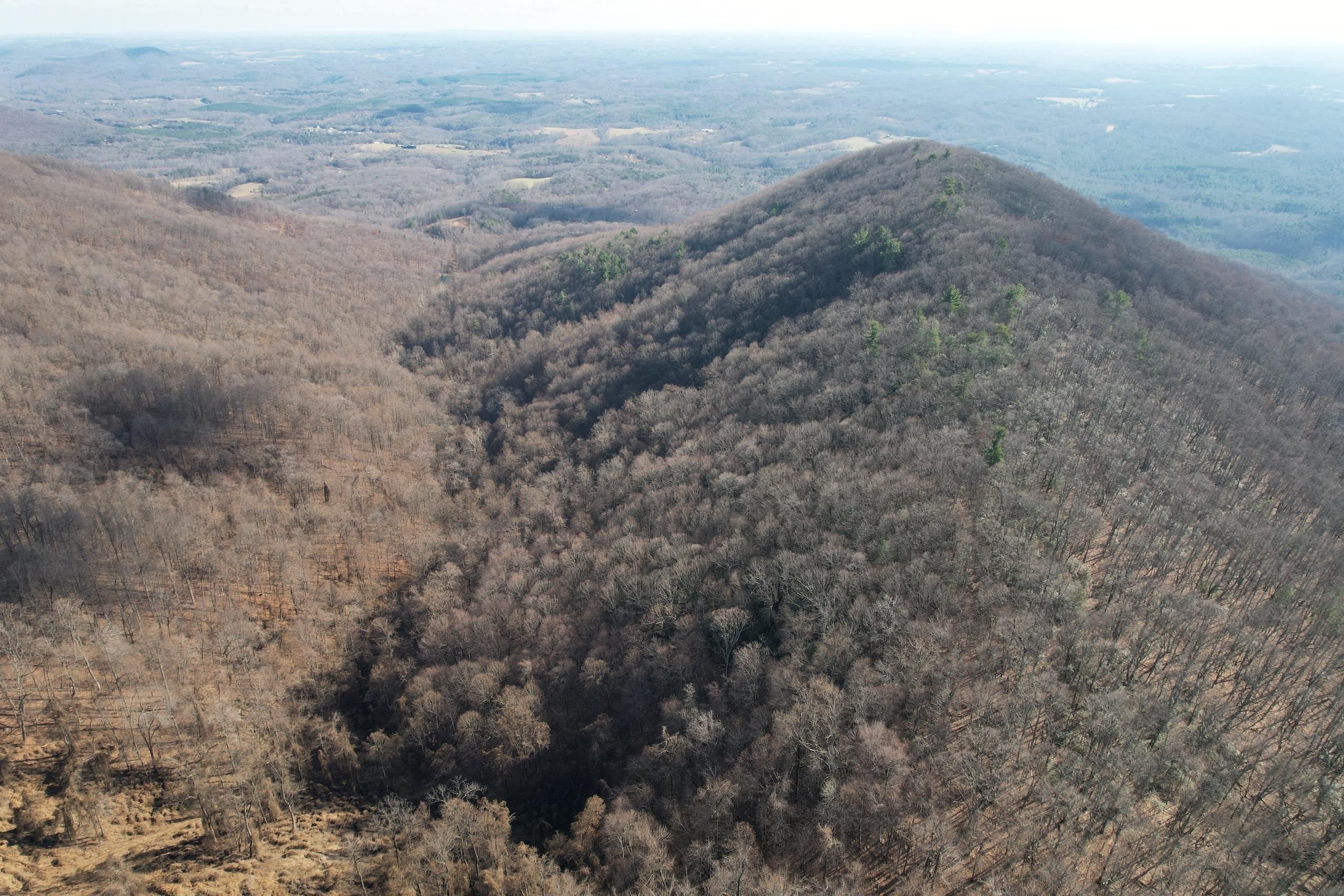 Hardy, Franklin County, VA Recreational Property, Timberland Property