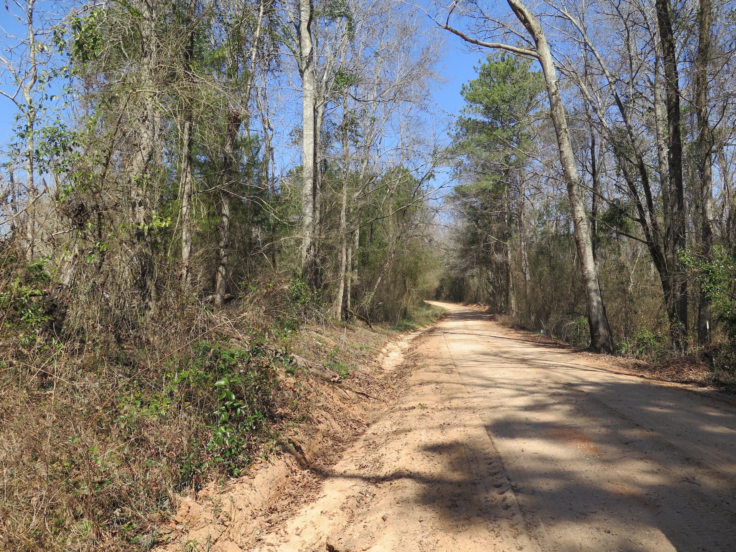 Mize, Smith County, MS Recreational Property, Timberland Property