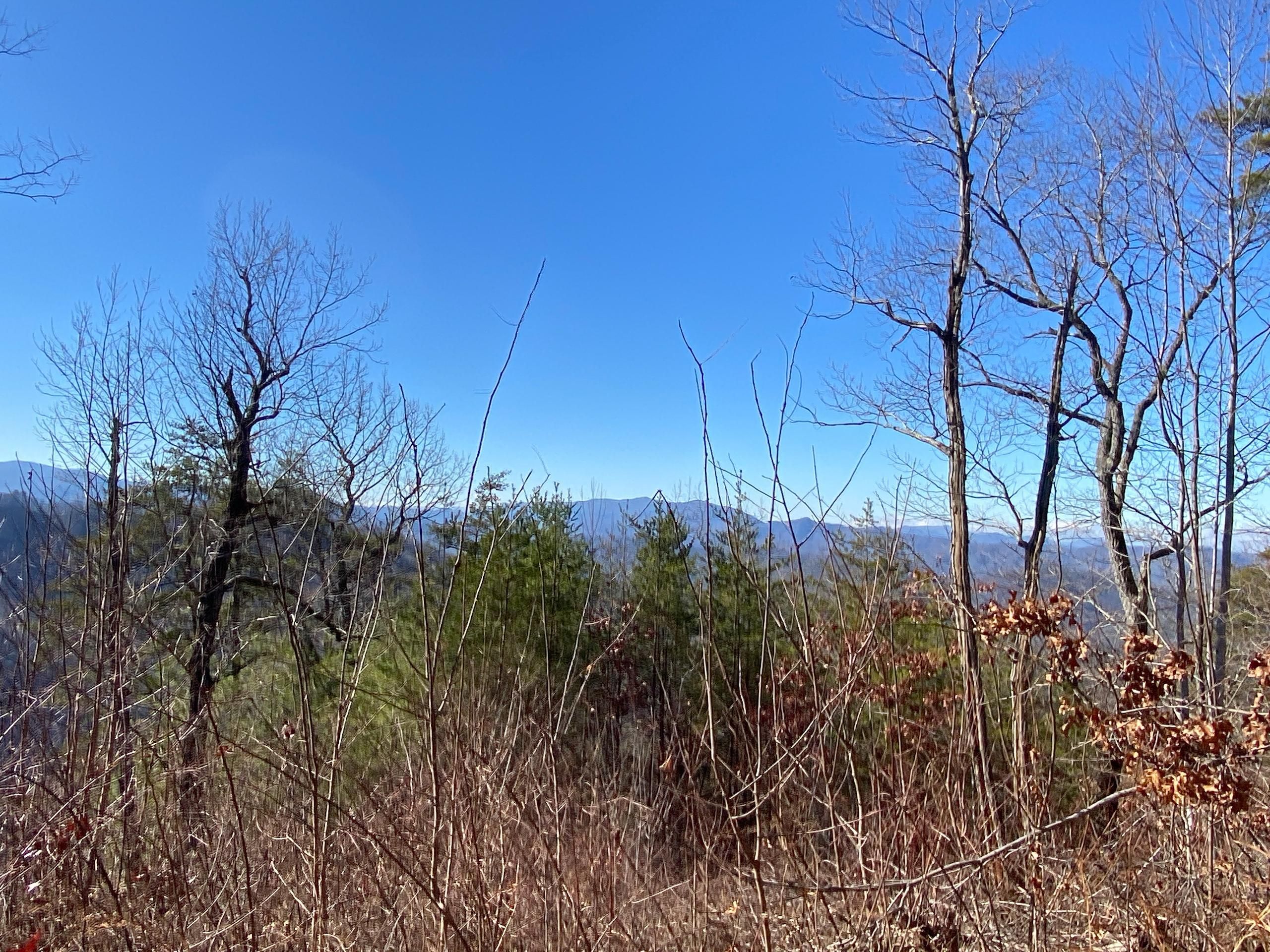 Bryson City, Swain County, NC Recreational Property, Timberland