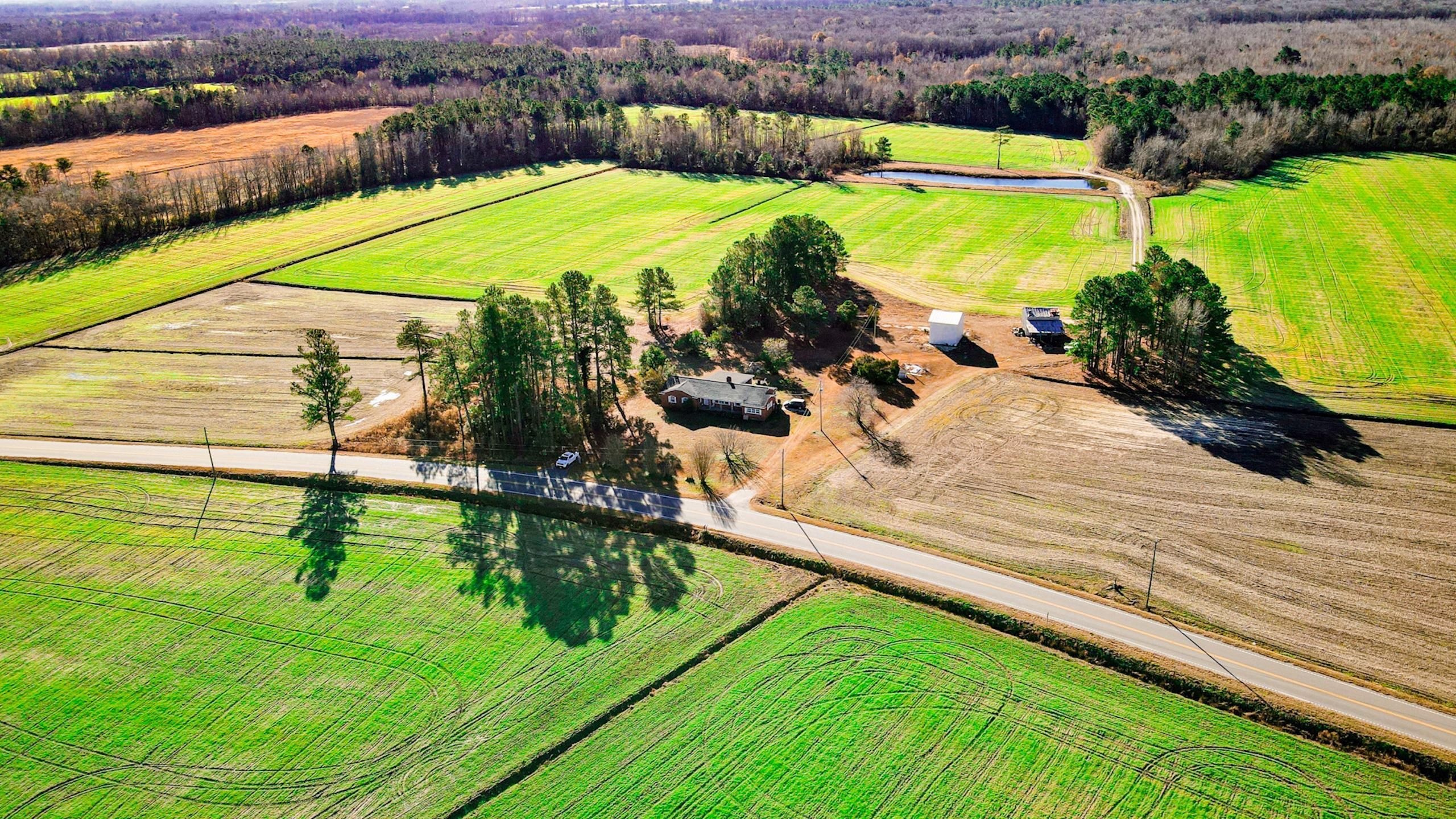 9475 Lake Swamp, Nichols, SC 29581 LandWatch