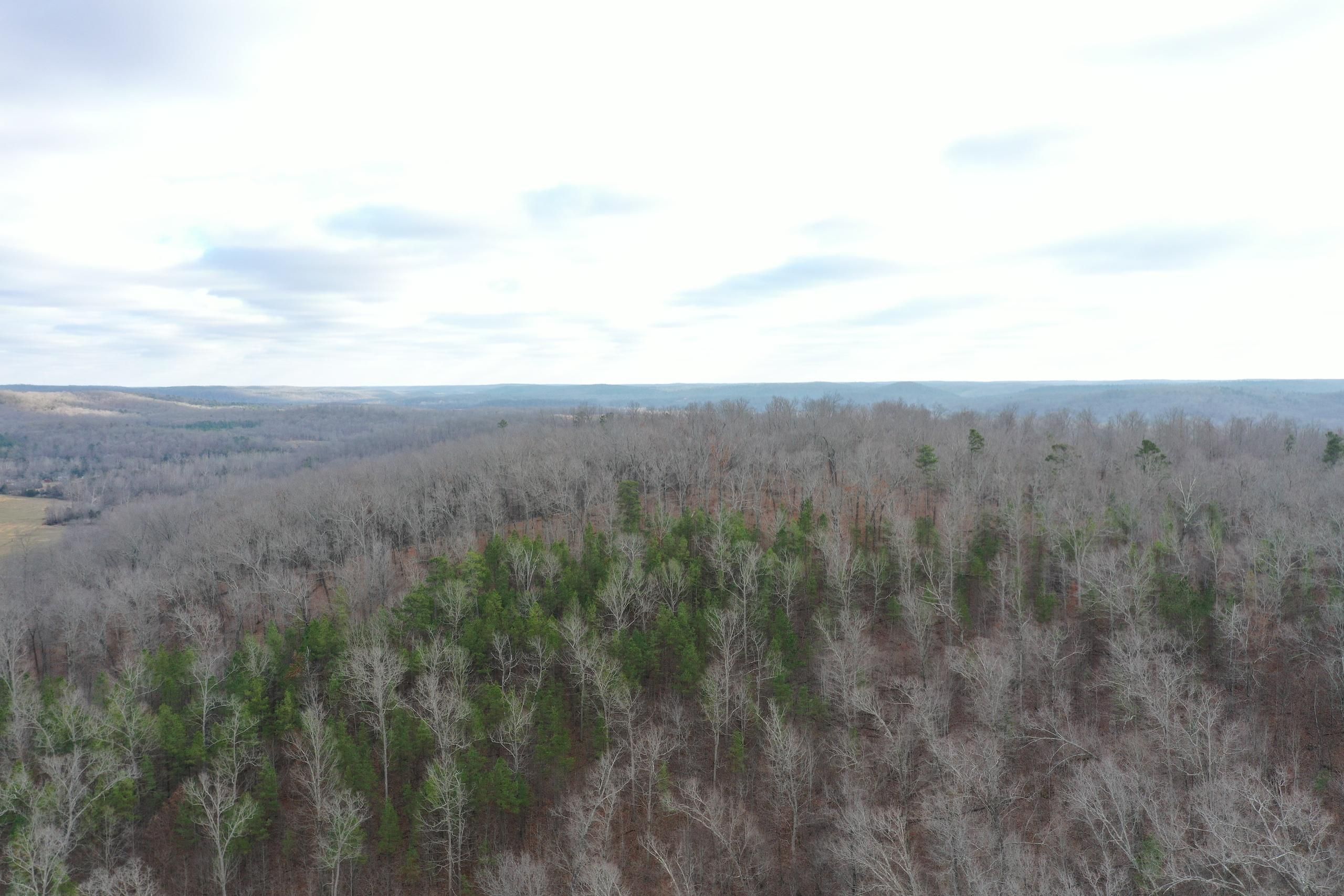 County Rd 435 Lot WP001, Mill Spring, MO 63952 LandWatch