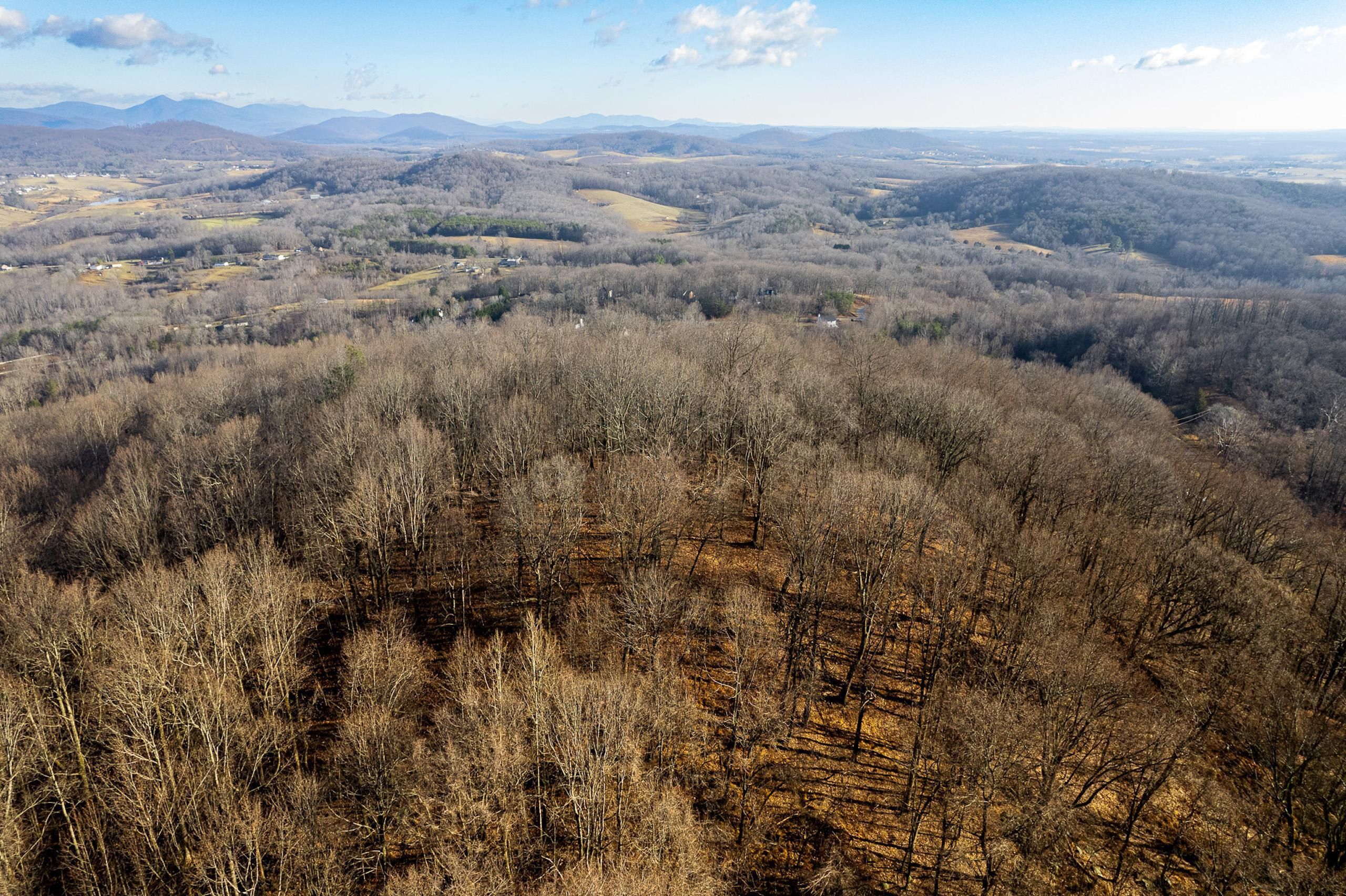 Goodview, Bedford County, VA Recreational Property, Timberland Property