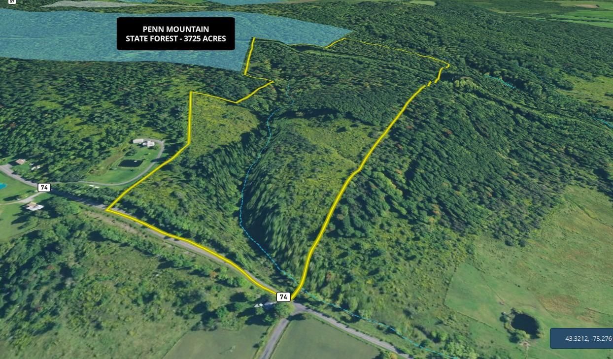 Remsen, Oneida County, NY Recreational Property, Timberland Property