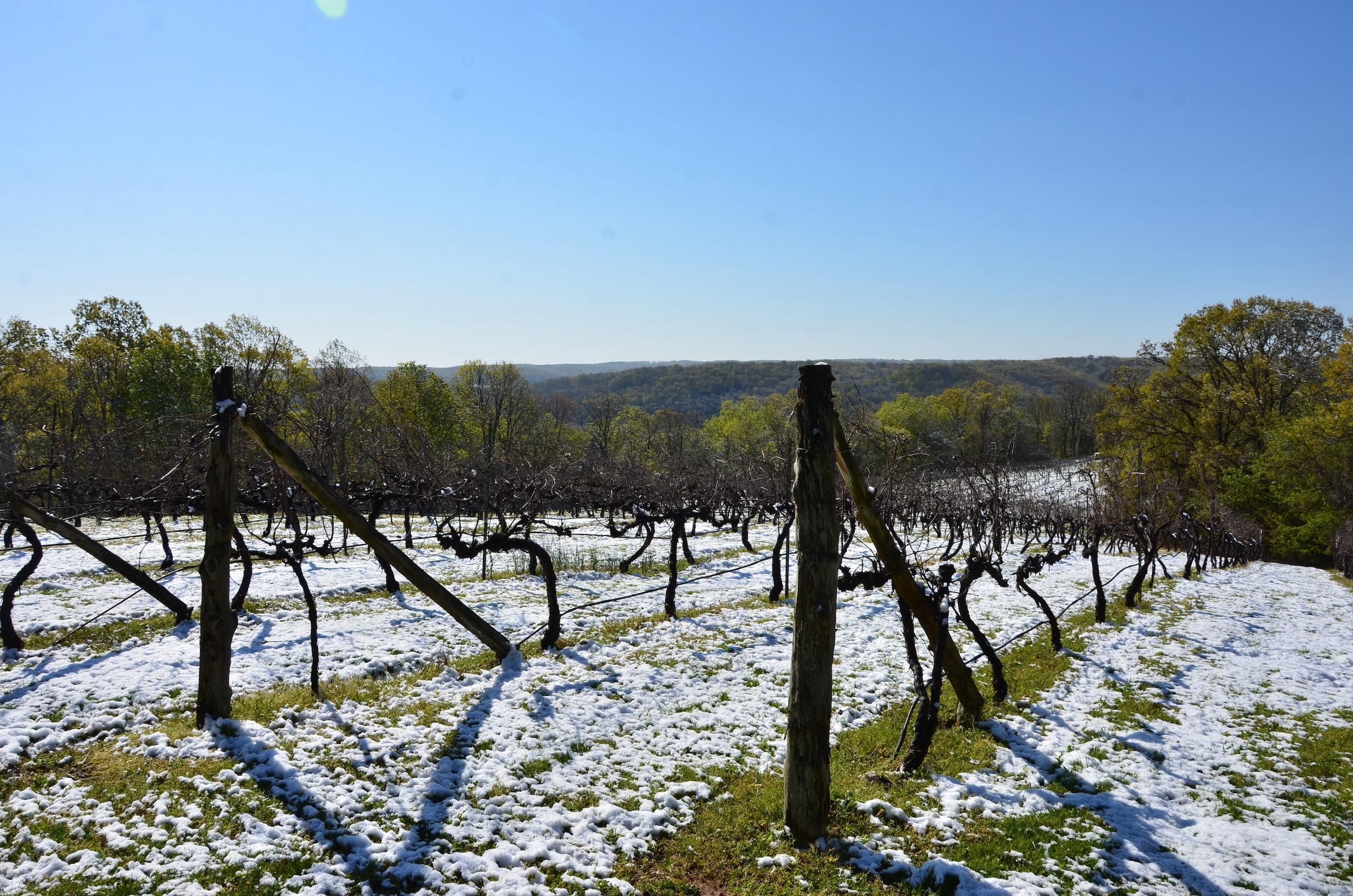 Boyd Rd. Lot WP001, Sainte Genevieve, MO 63670 LandWatch