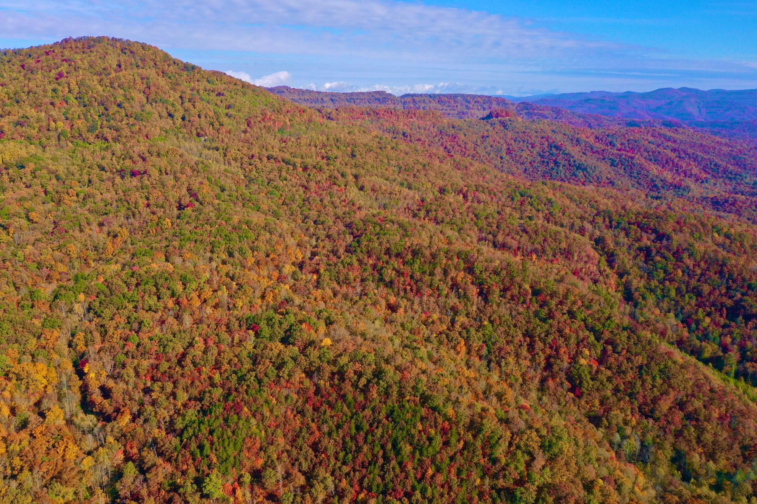 7146 New River Highway, Briceville, TN 37710 LandWatch