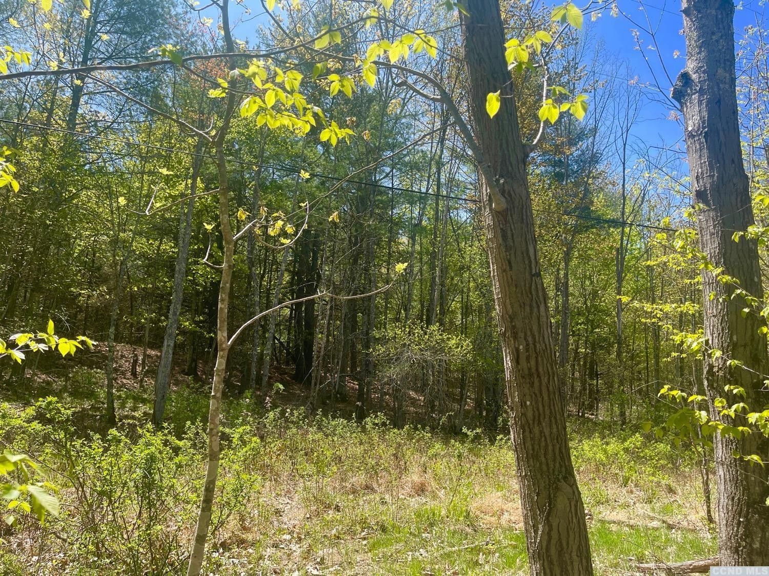 Durham, Greene County, NY Farms and Ranches for sale Property ID