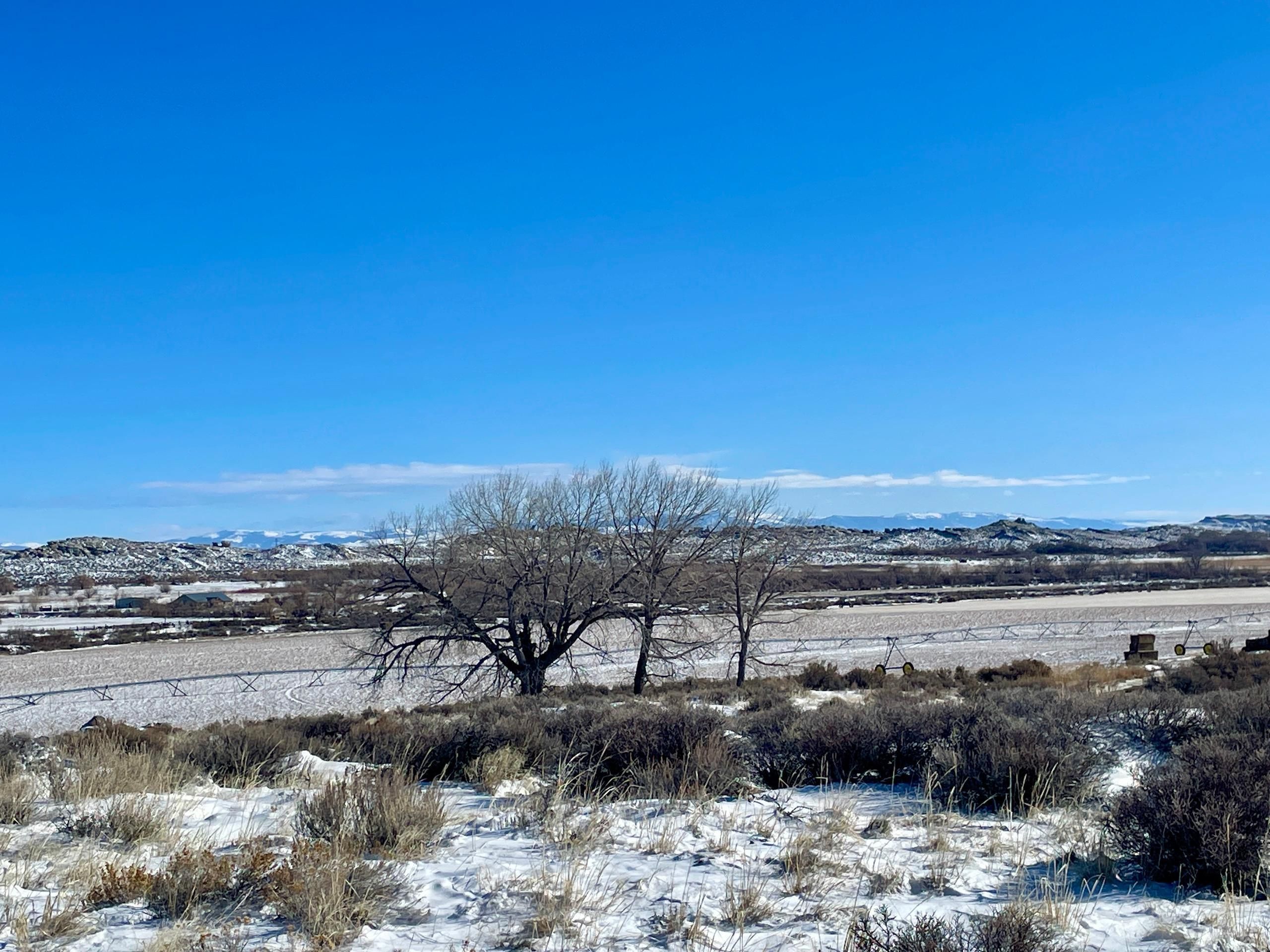 Powell, Park County, WY Farms and Ranches, Recreational Property for