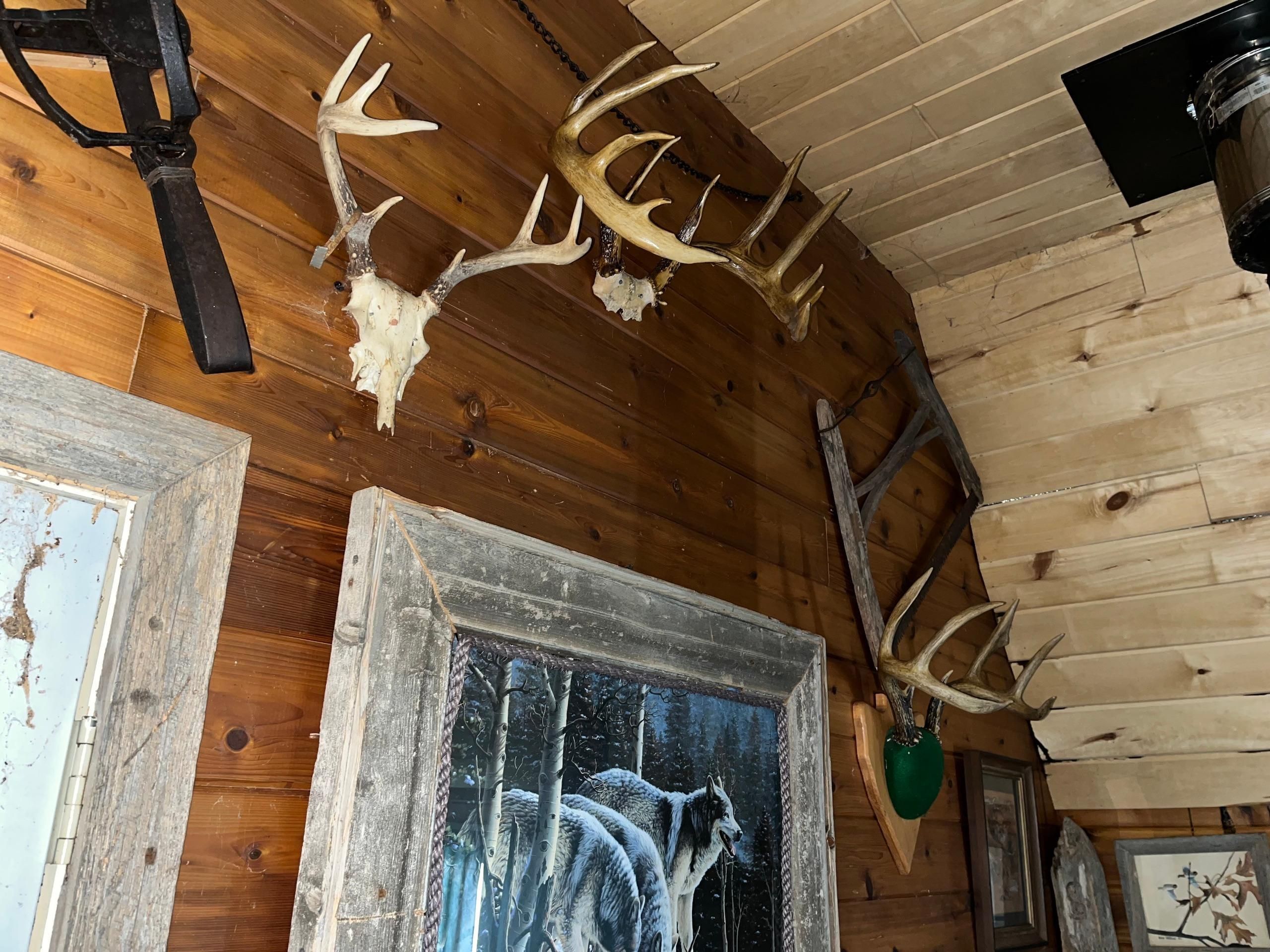 Radisson, Sawyer County, WI Recreational Property, Timberland Property