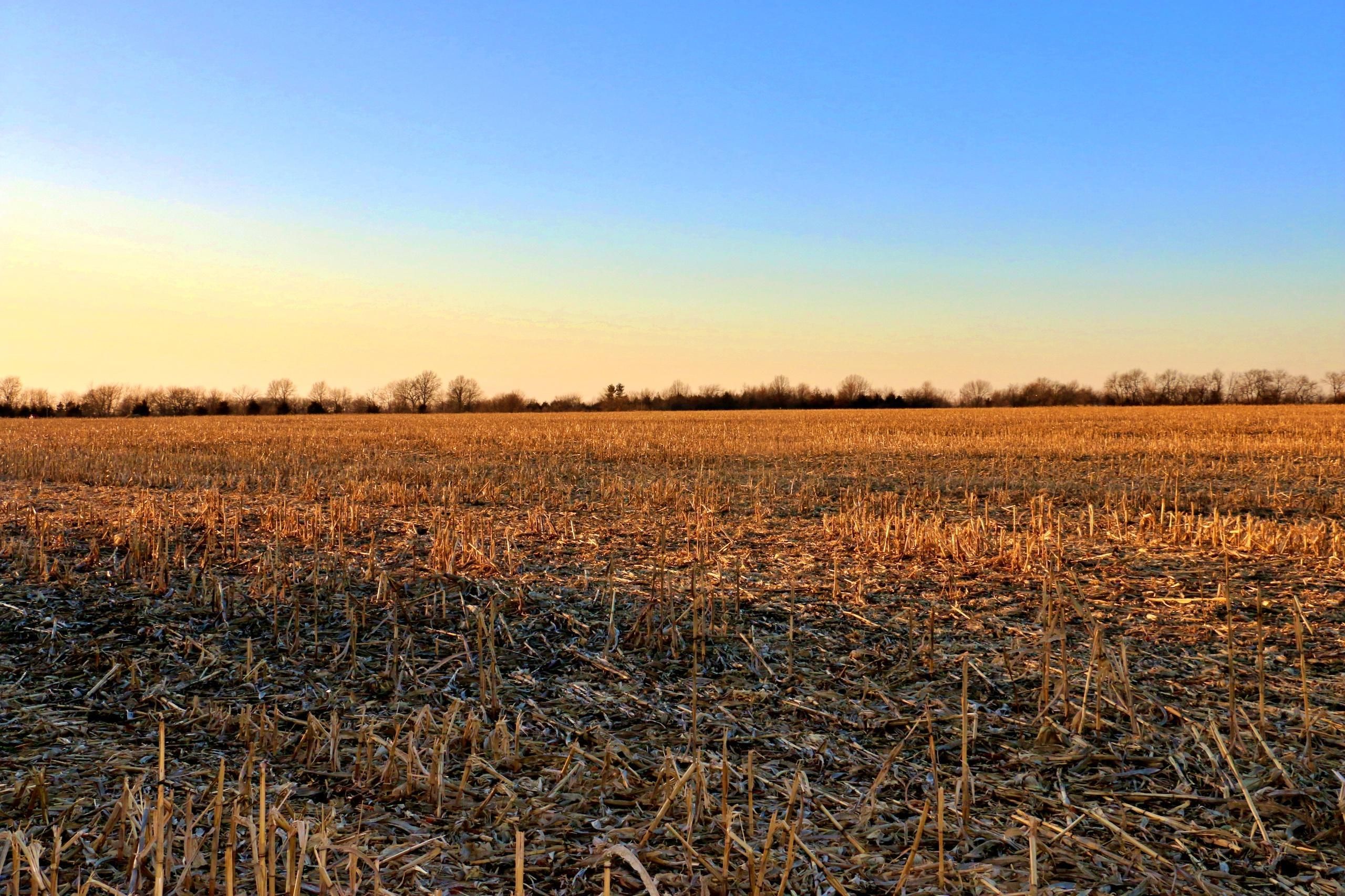 Knob Noster, Johnson County, MO Farms and Ranches, Hunting Property for sale Property ID