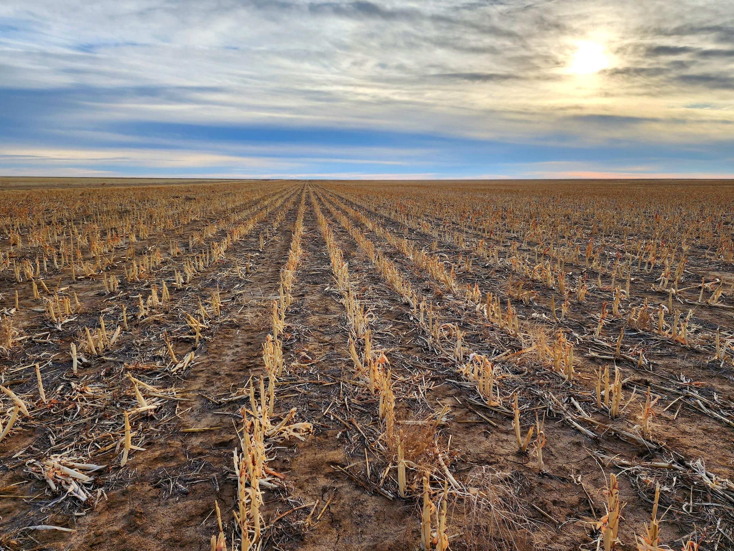 Arlington, Kiowa County, CO Farms and Ranches, Recreational Property