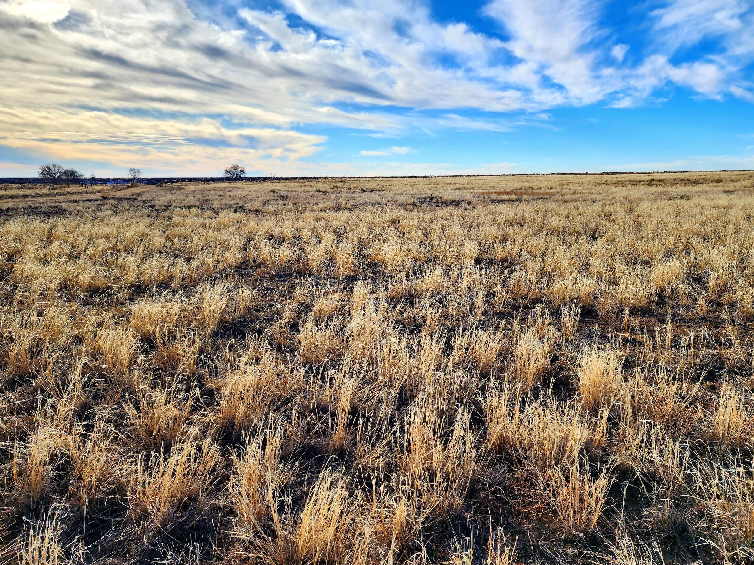 Arlington, Kiowa County, CO Farms and Ranches, Recreational Property