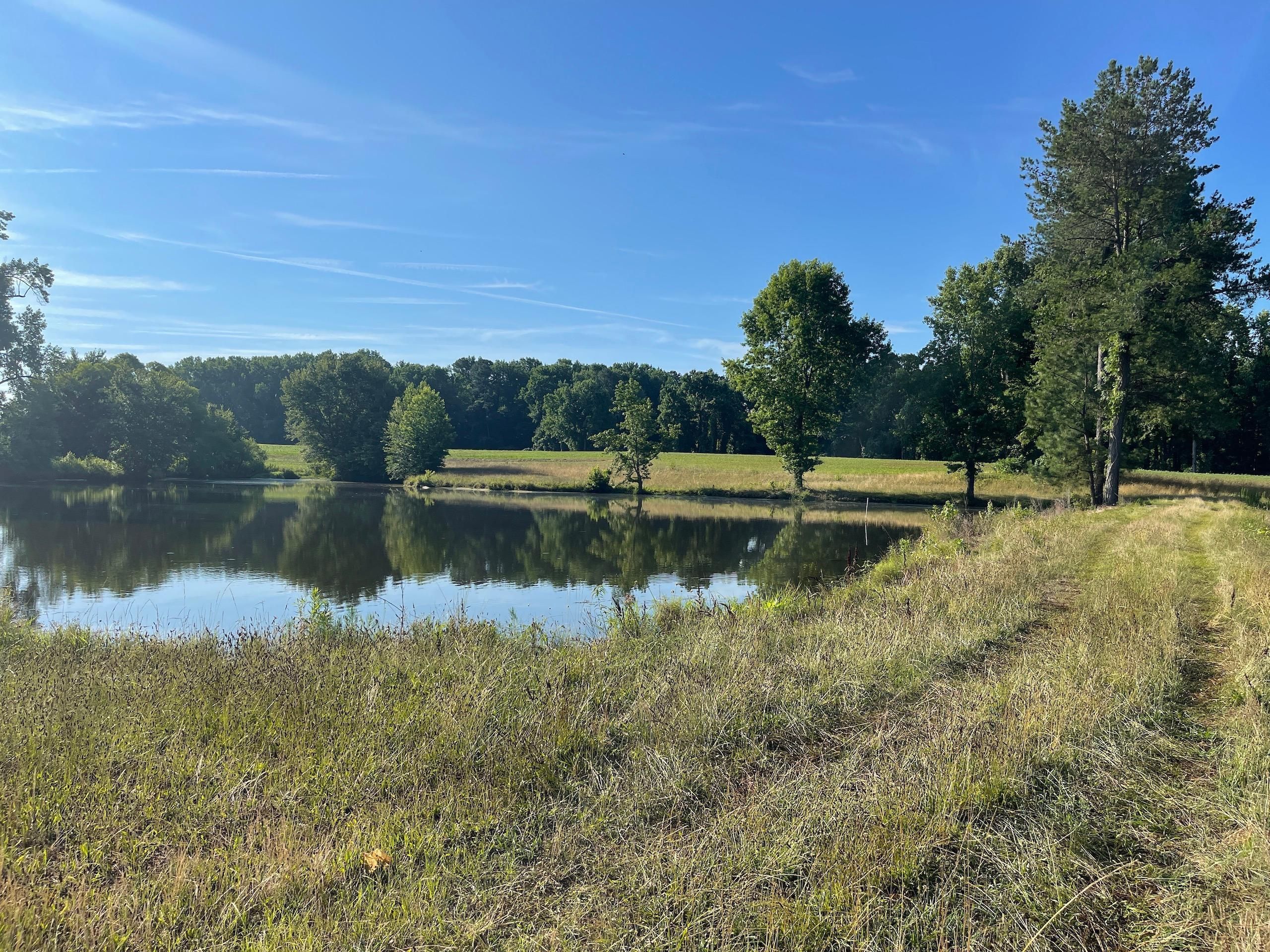 Off Highway 58, Lot WP0003, Castalia, NC 27816 LandWatch