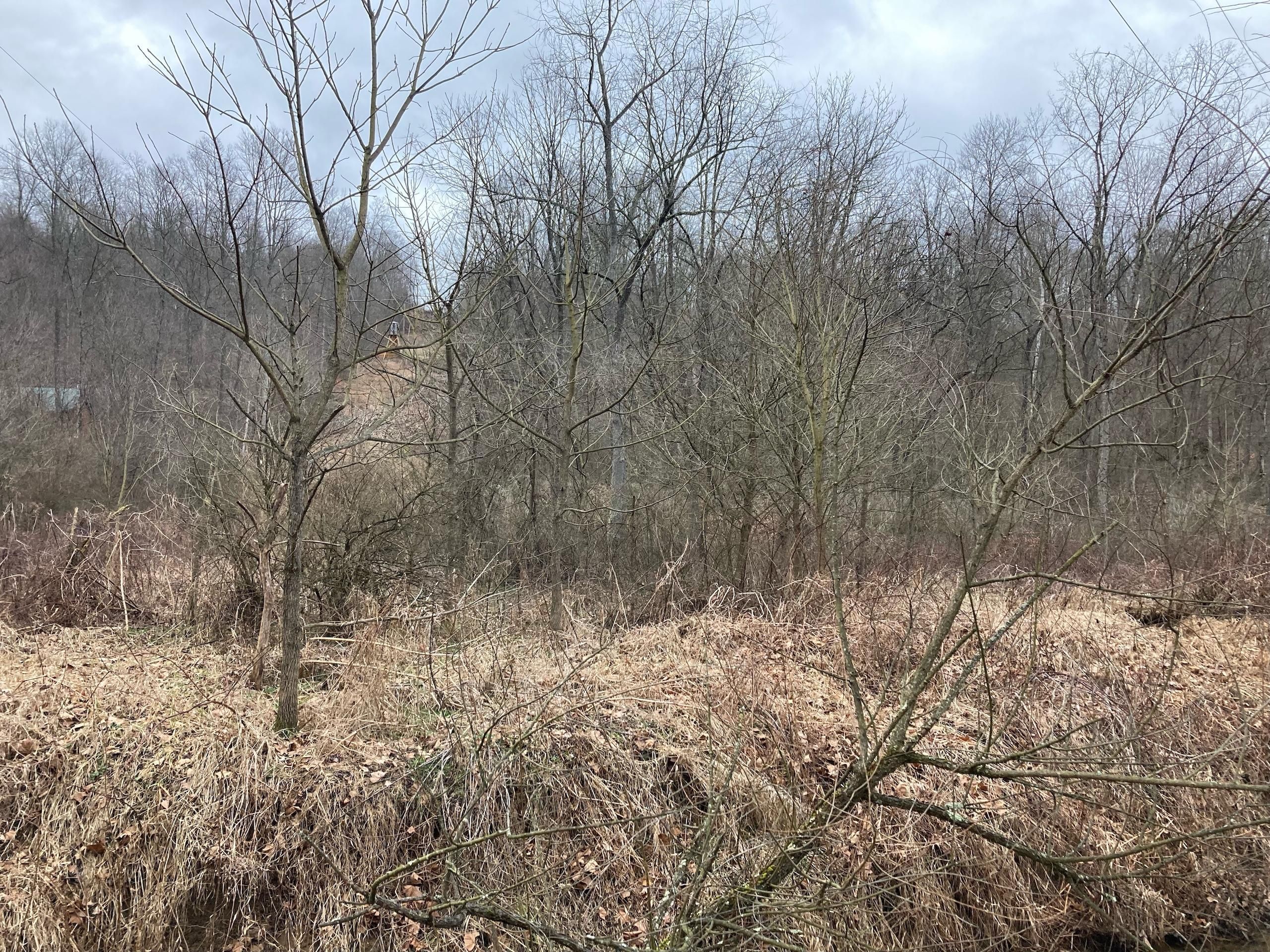 Warsaw, Coshocton County, OH Recreational Property, Hunting Property