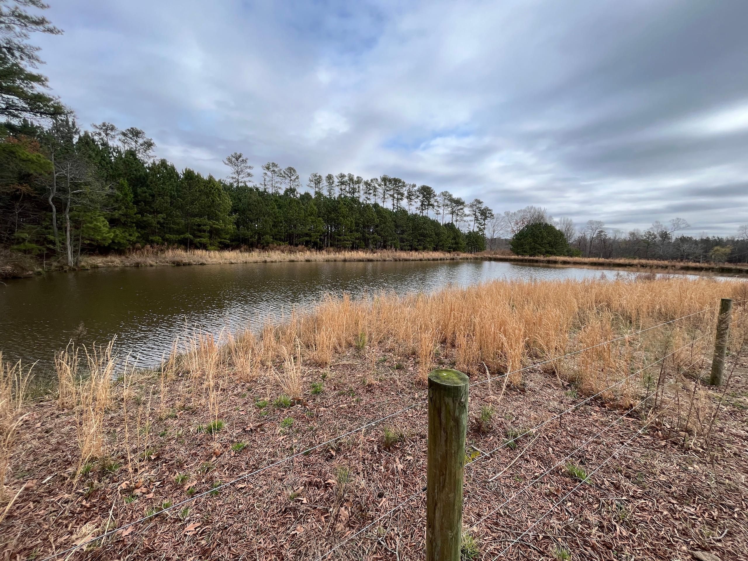Castalia, Franklin County, NC Recreational Property, Timberland