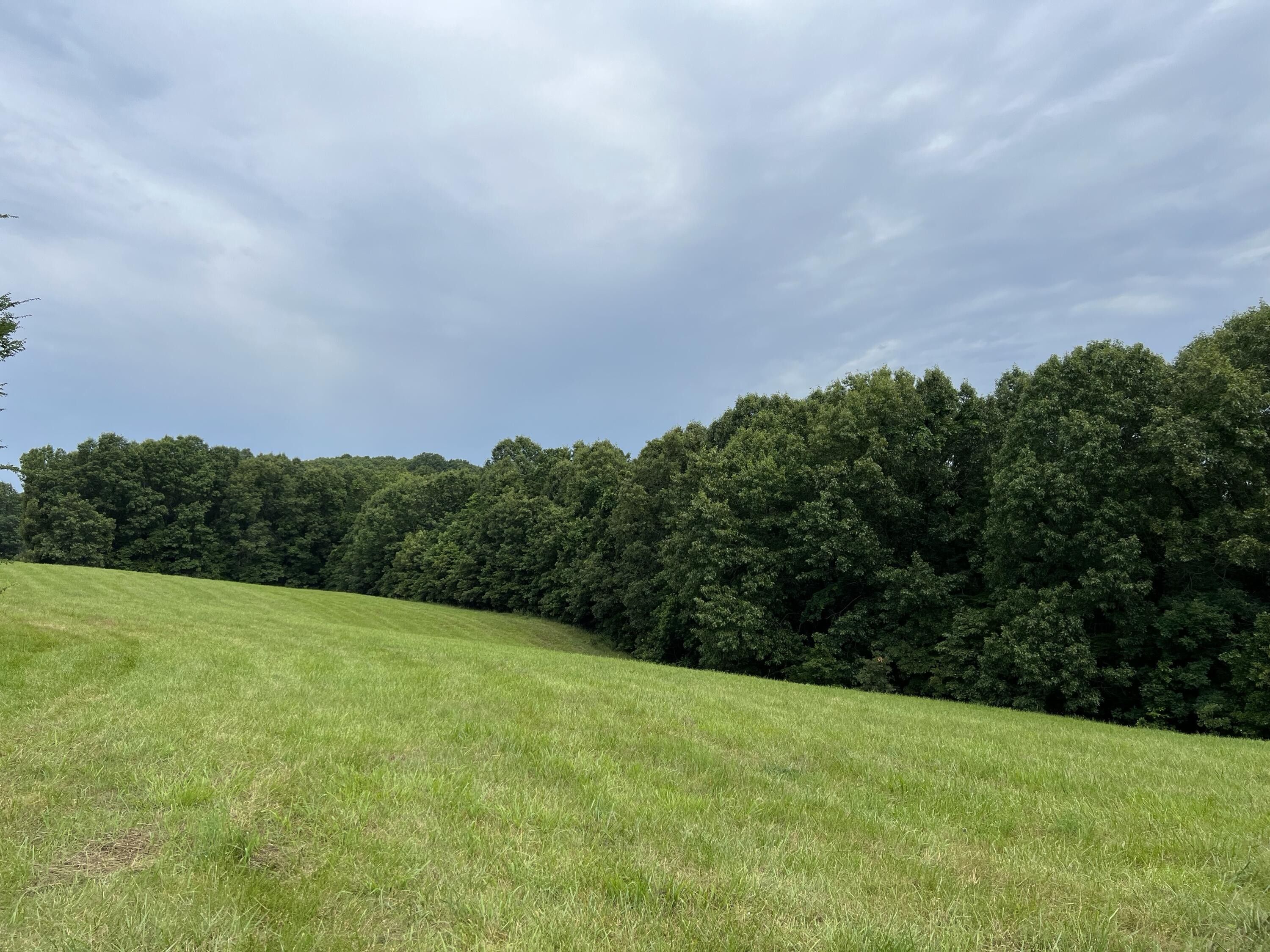 5.99 Acres on Estes Lane, Omaha, AR 72662 MLS 147427 LandWatch