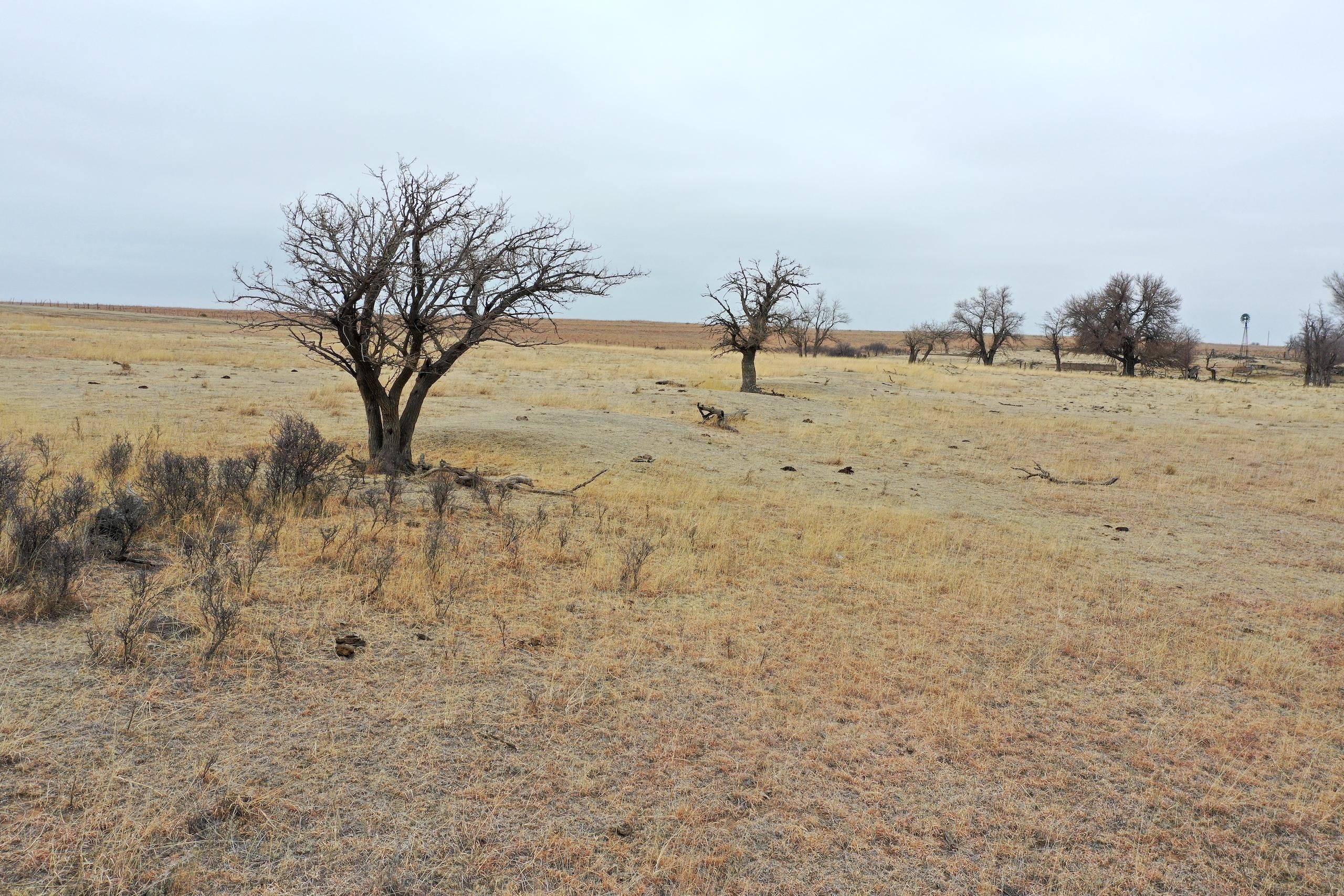 May, Ellis County, OK Farms and Ranches, Hunting Property for sale