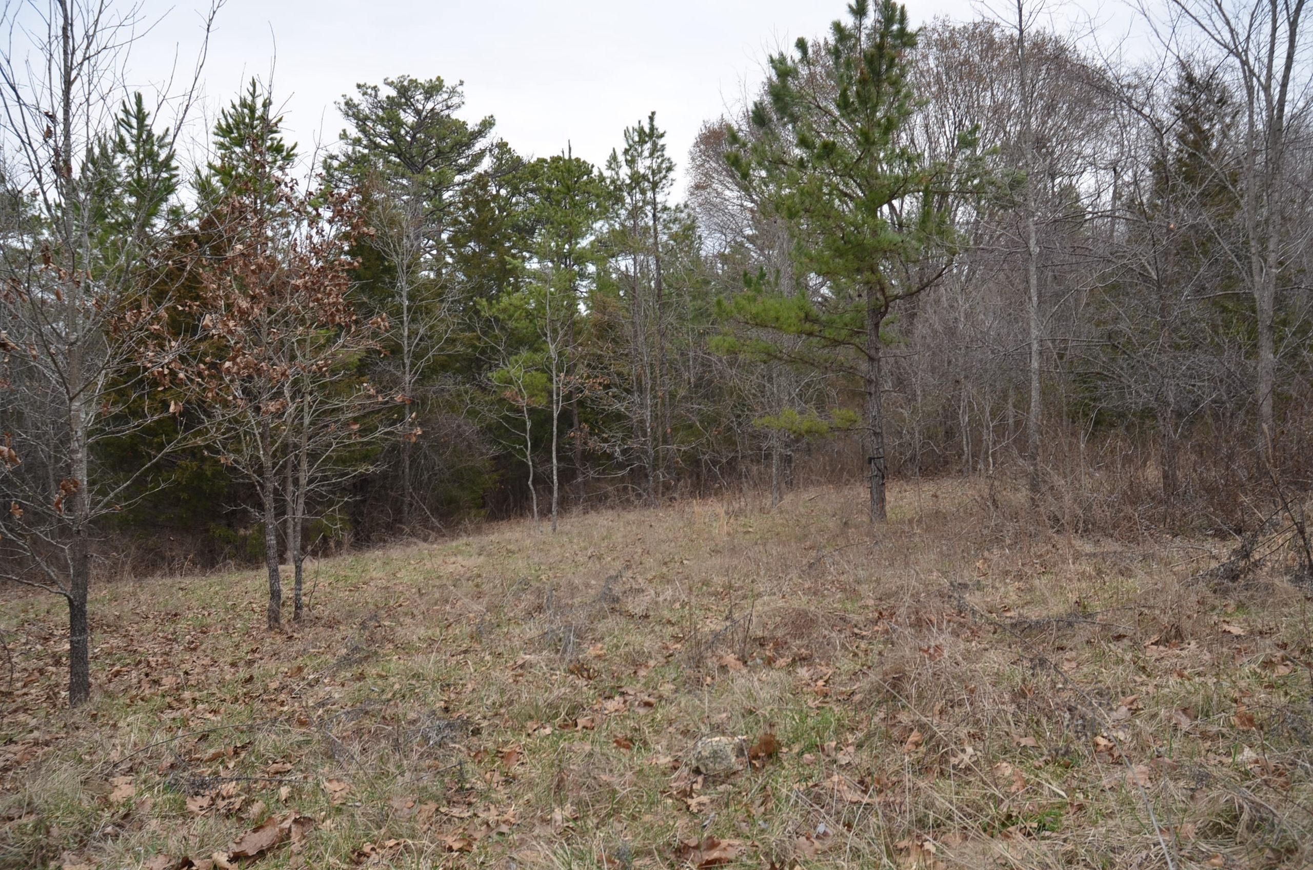 Ava, Douglas County, MO Recreational Property, Timberland Property