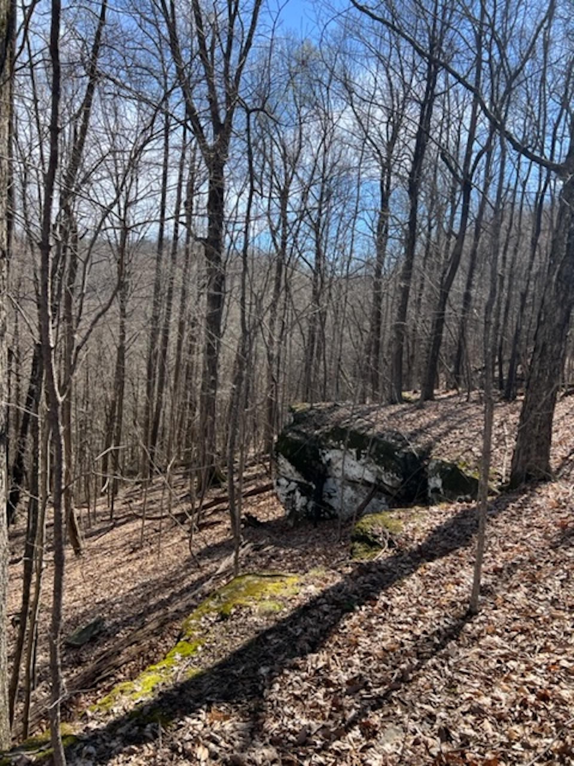 Monterey, Putnam County, TN Recreational Property, Timberland Property