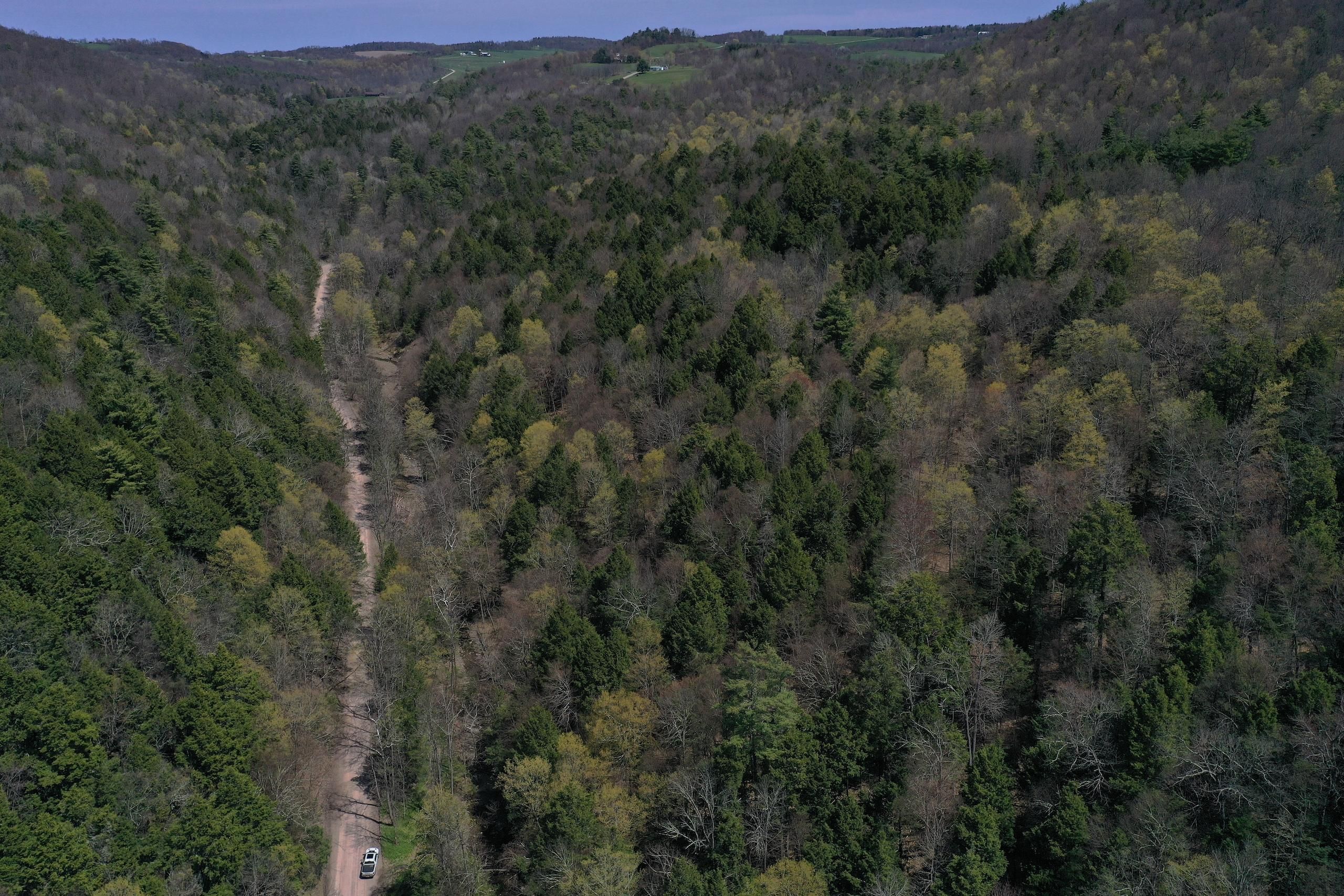 Sheshequin, Bradford County, PA Recreational Property, Timberland
