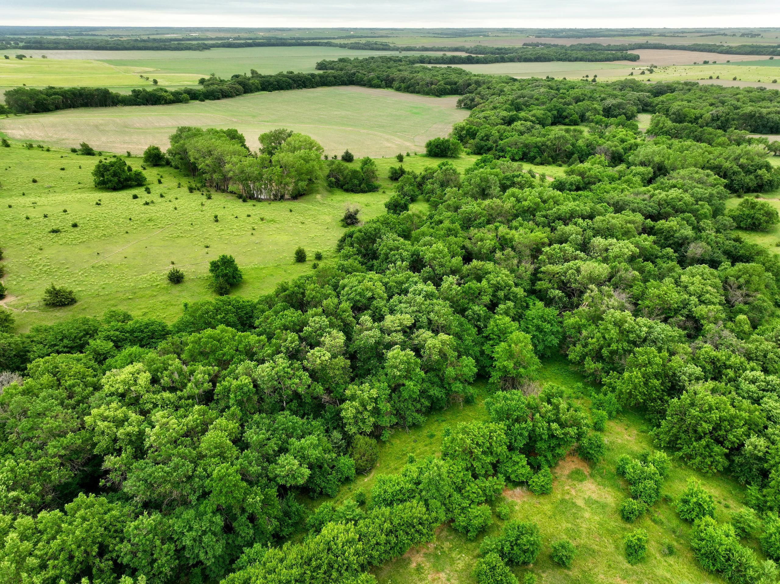 Burr Oak, Jewell County, KS Farms and Ranches, Timberland Property, Hunting Property for sale