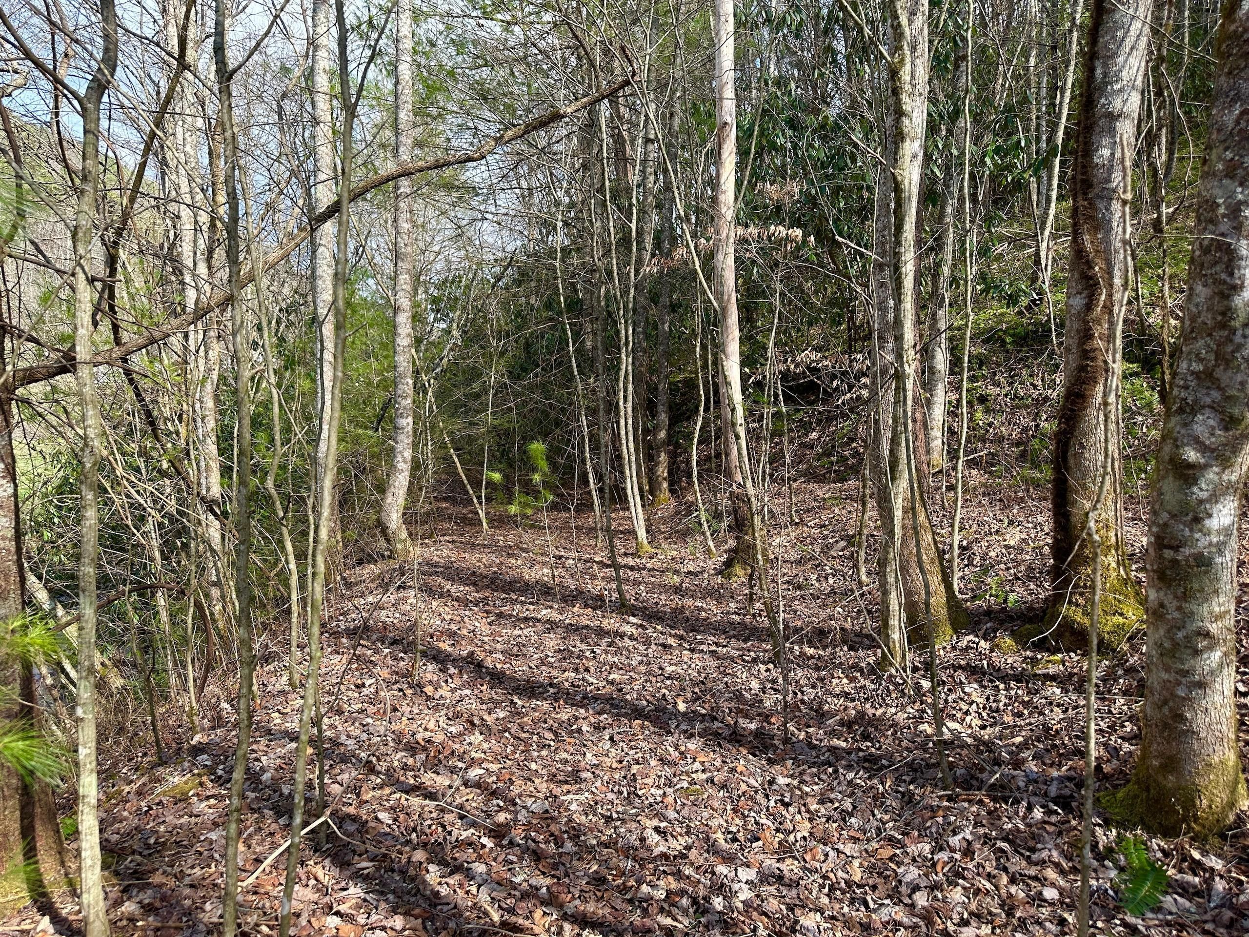 Del Rio, Cocke County, TN Recreational Property, Timberland Property