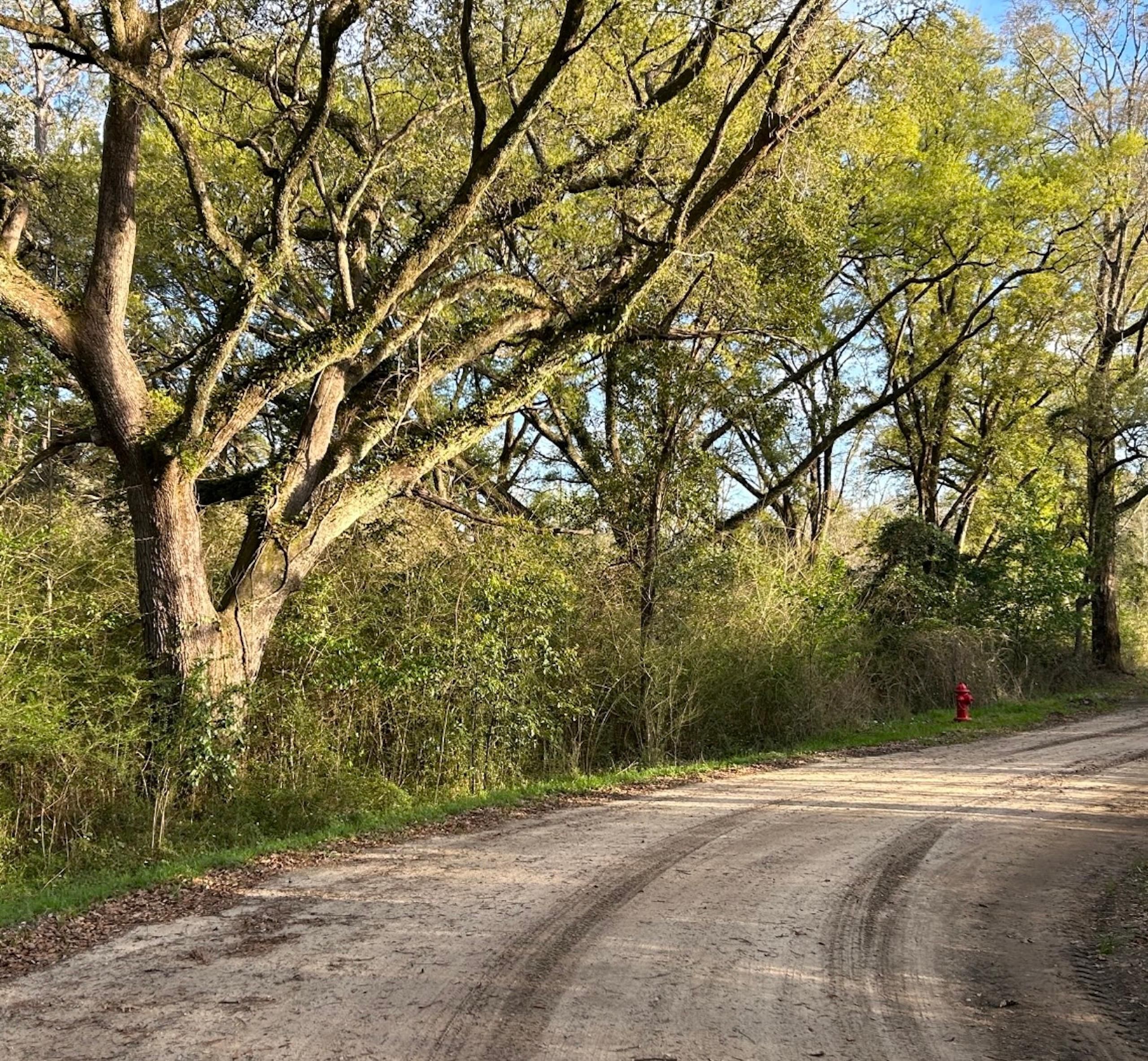 Bonifay, Holmes County, FL Recreational Property, Timberland Property