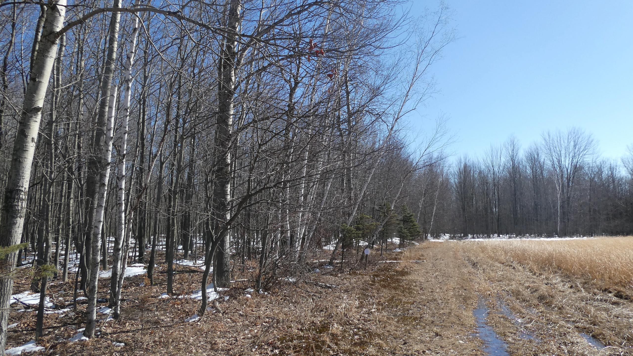 Wheeler, Gratiot County, MI Farms and Ranches, Recreational Property, Timberland Property for