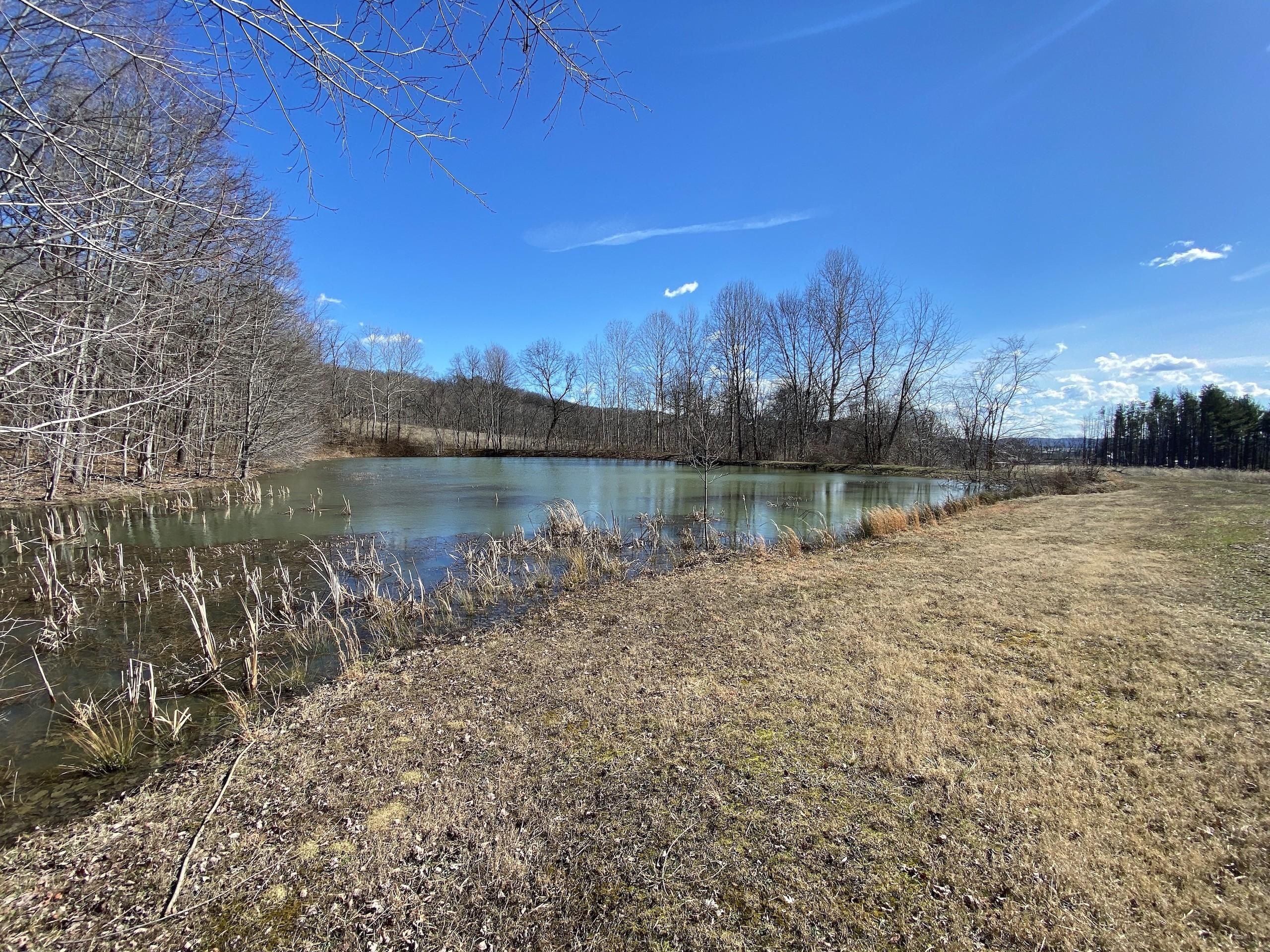 Bainbridge, Highland County, OH Recreational Property, Timberland
