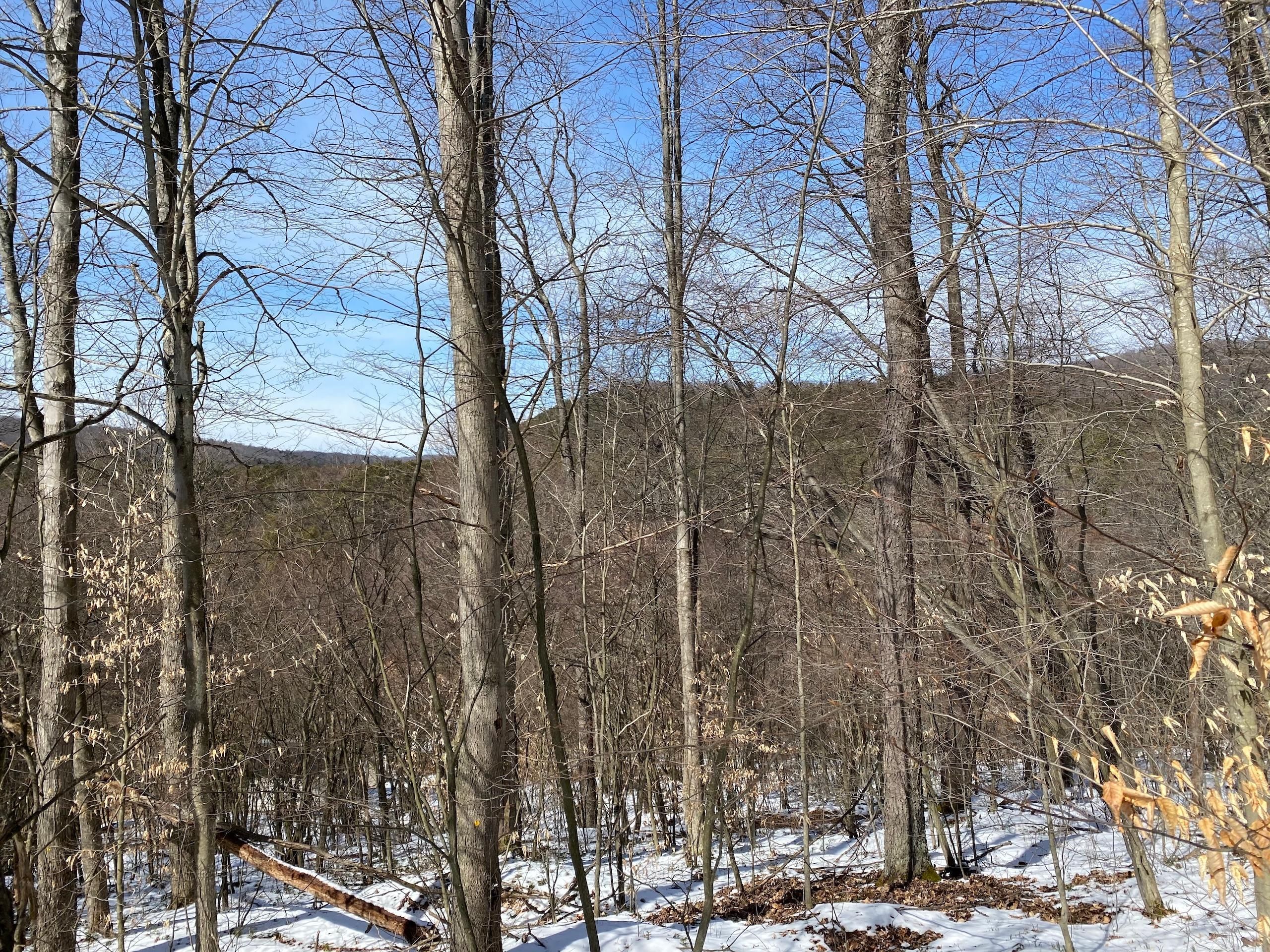 Marienville, Forest County, PA Recreational Property, Timberland
