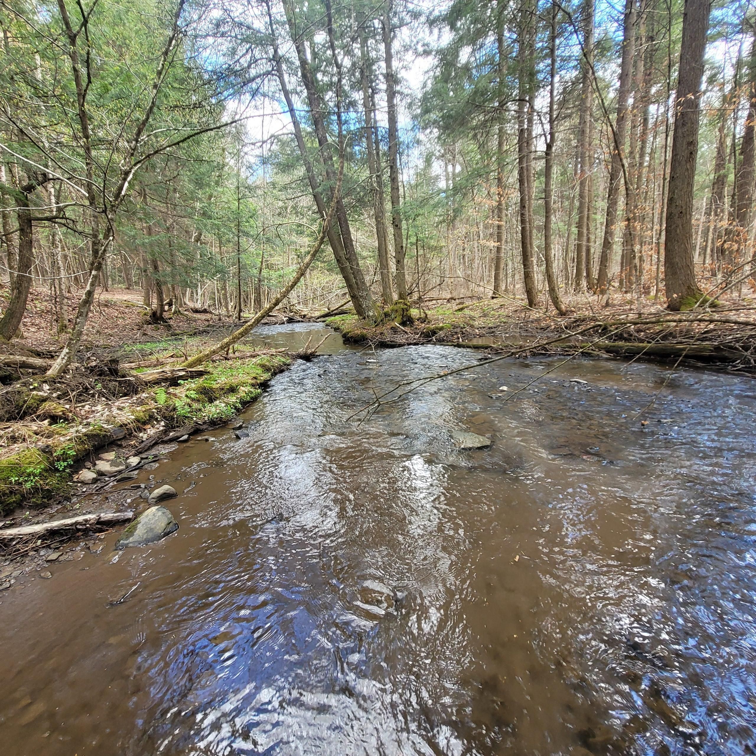 Oneonta, Otsego County, NY Farms and Ranches, Hunting Property for sale