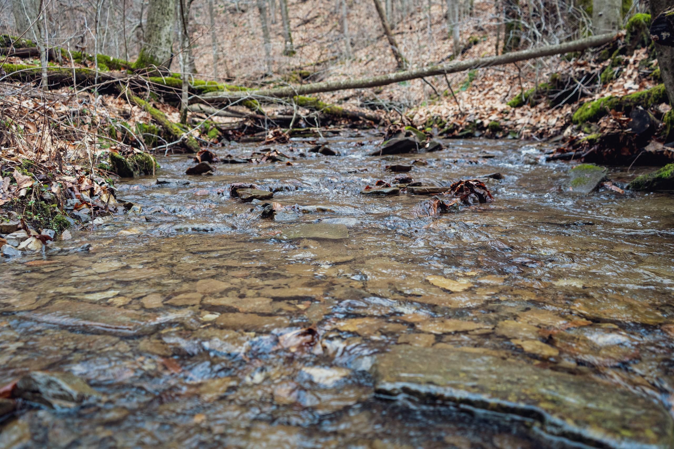 Clover Run Road, Lot WP001, Parsons, WV 26287 LandWatch