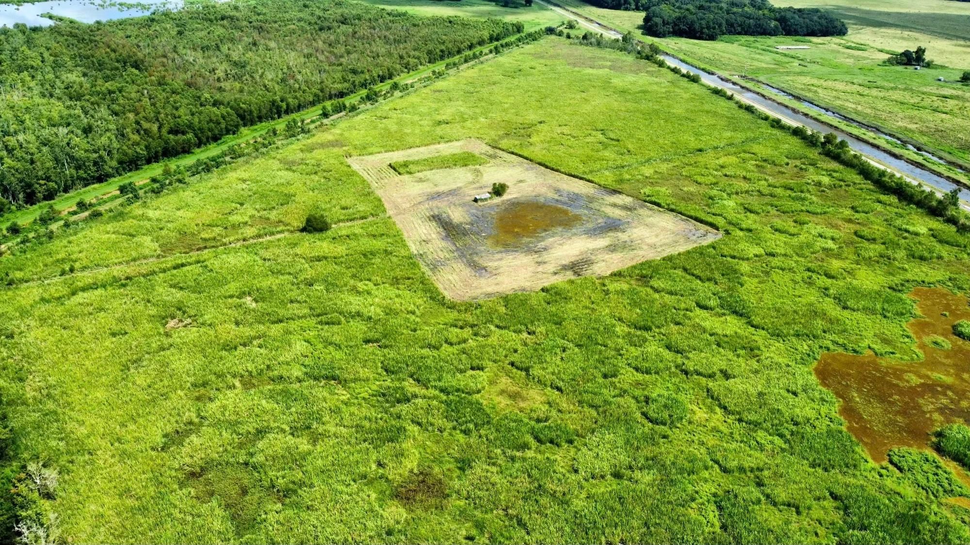 Kaplan, Vermilion Parish, LA Recreational Property, Hunting Property